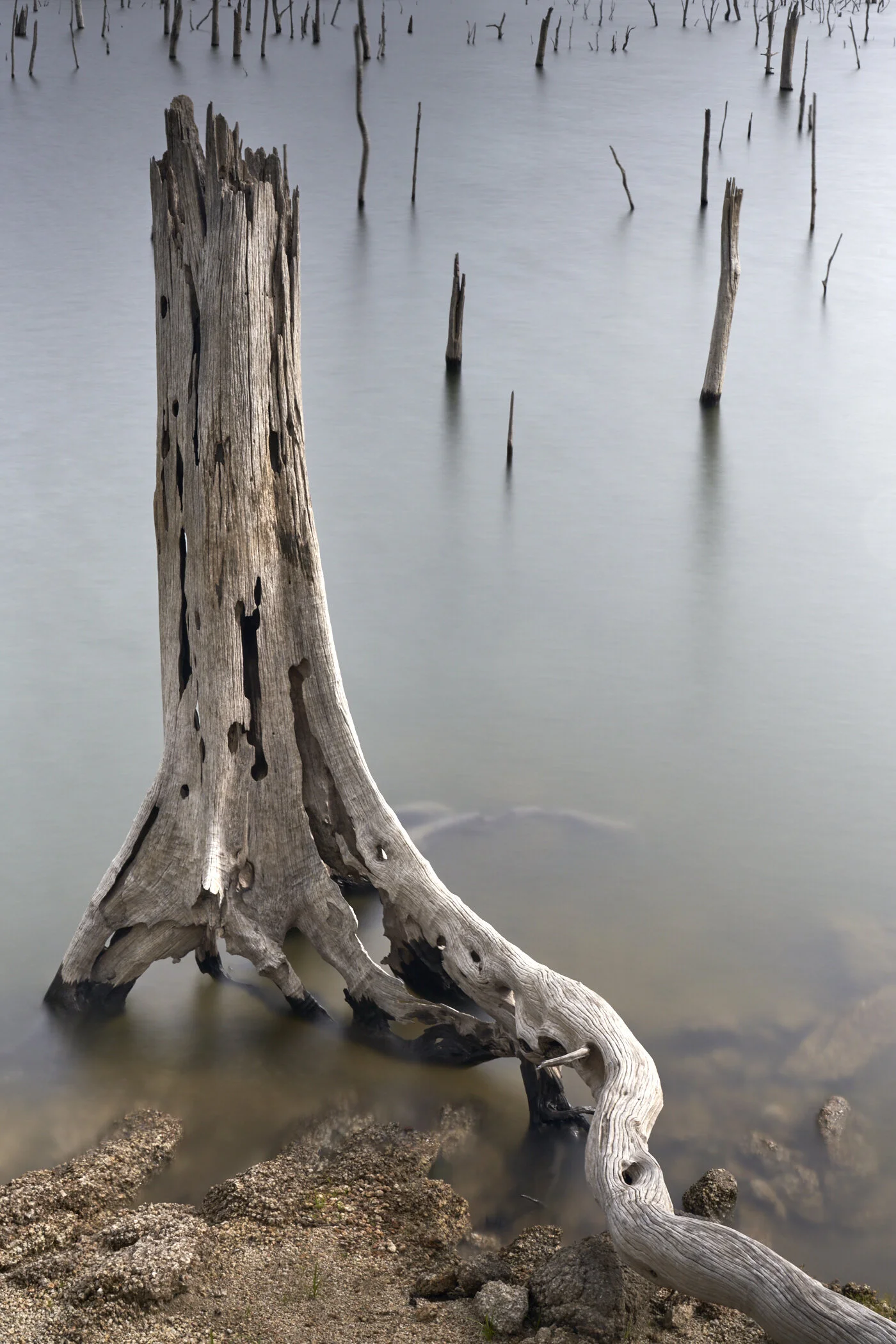 A cloudy afternoon at Lake Tinaroo