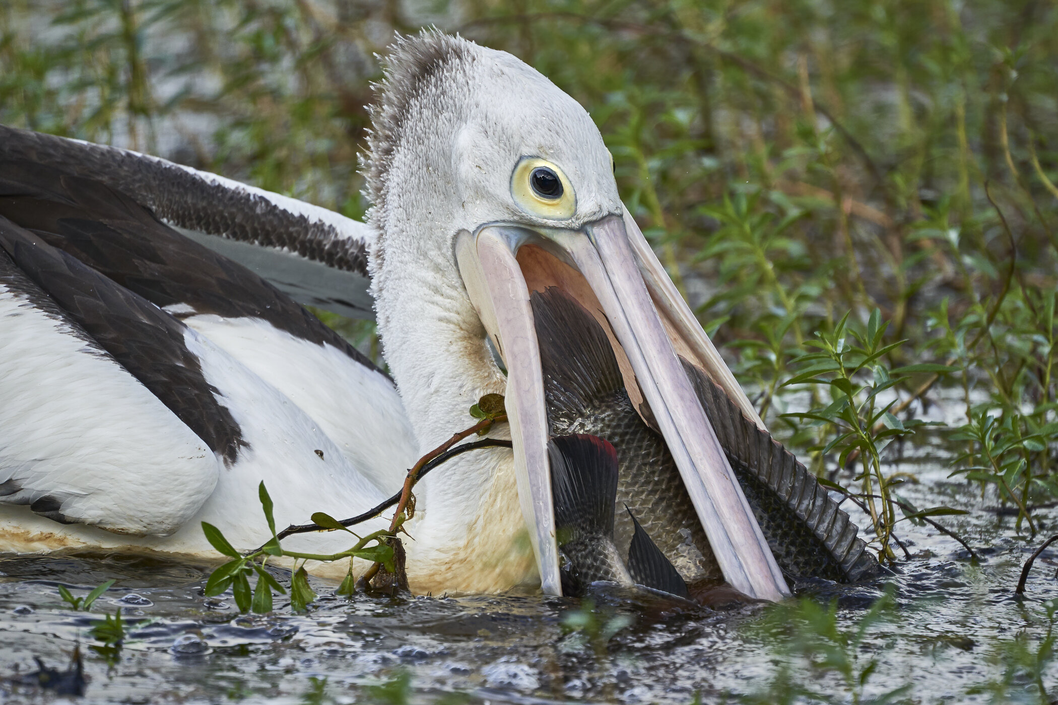 Fishing at the Lakes
