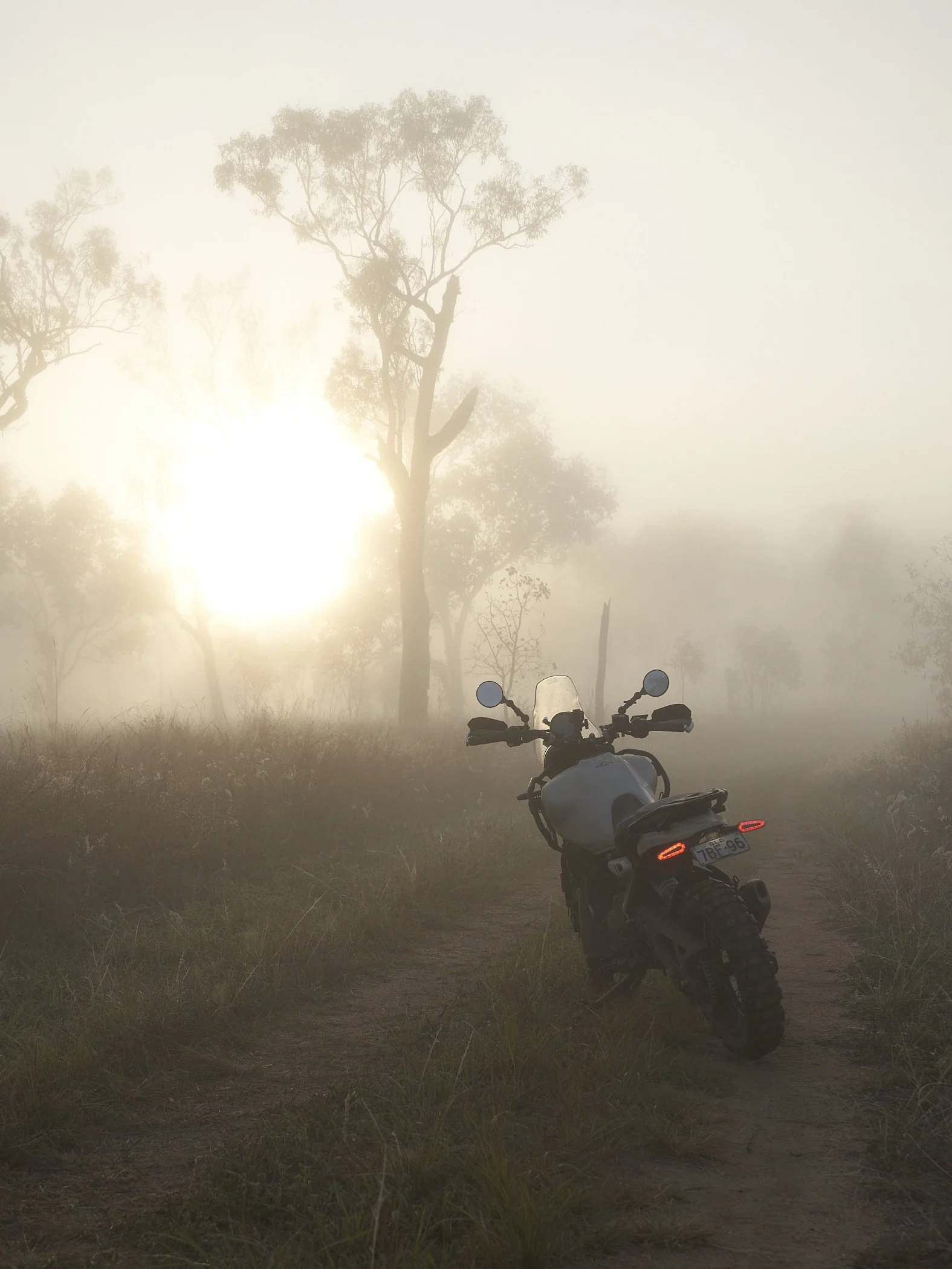 2025 - the year that was