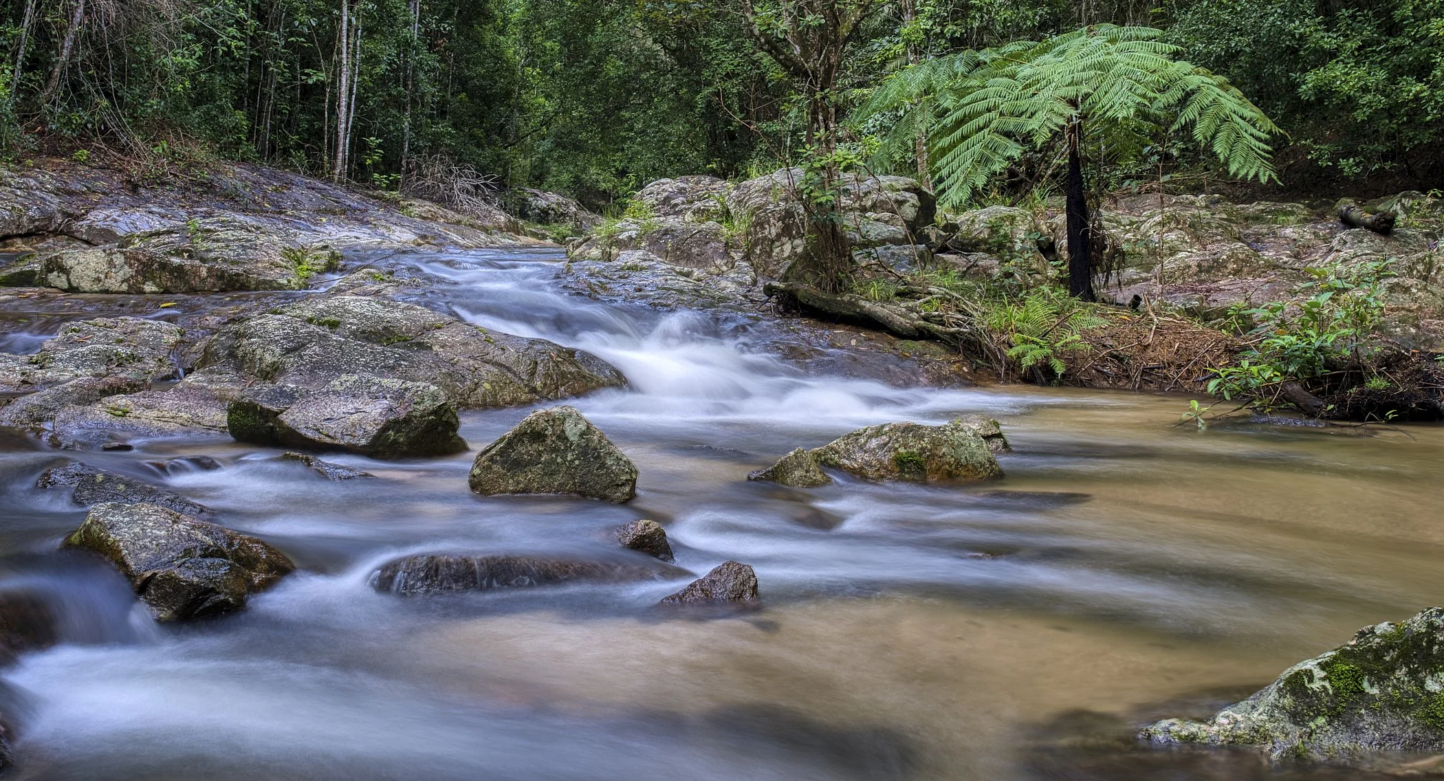 Addressing my fears on Mt Edith Road