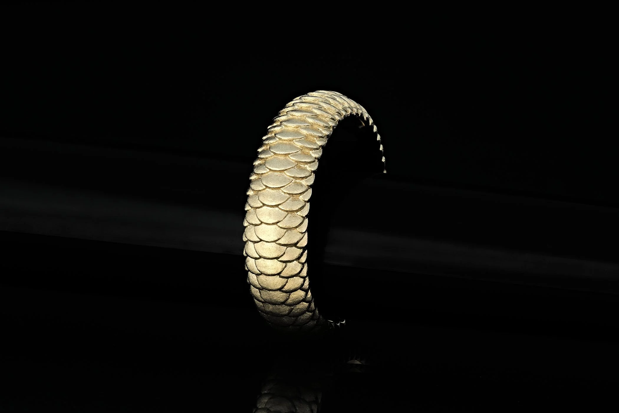 How Australian, Snakes and Opals