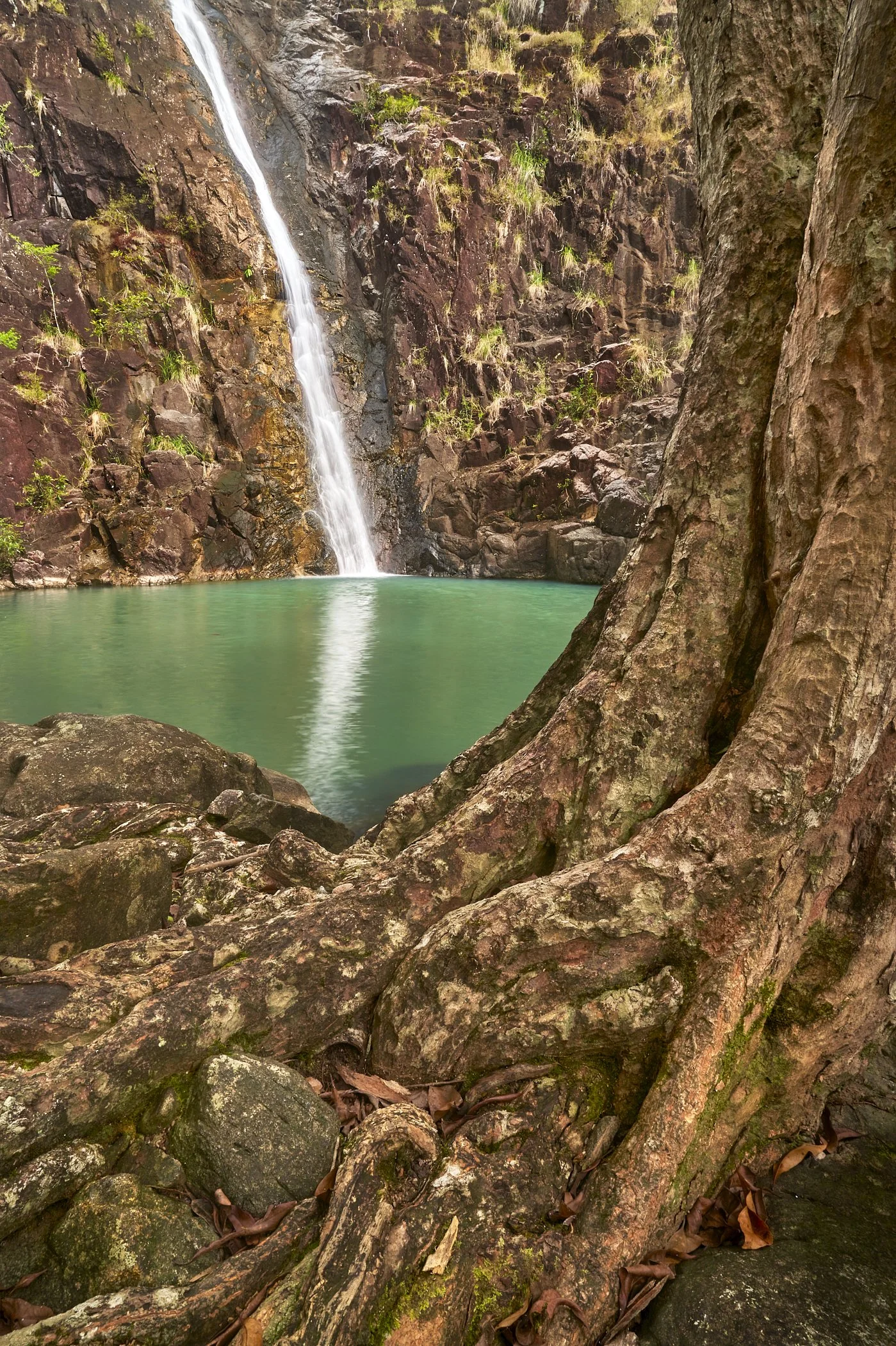 Attie Creek Falls - Girramay Country - Cardwell State Forest
