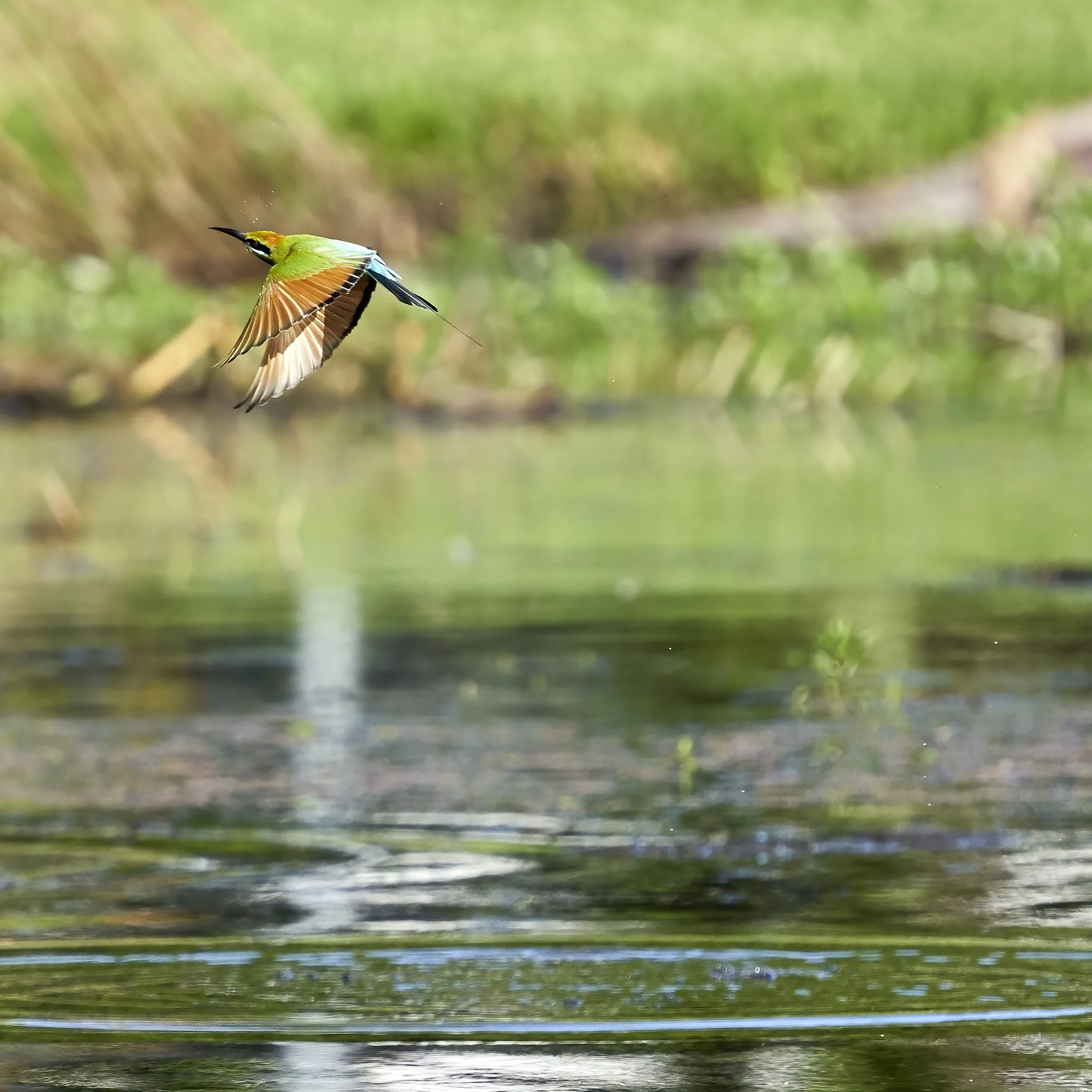 _A7_8680-gigapixel _ 22-06-20.jpg