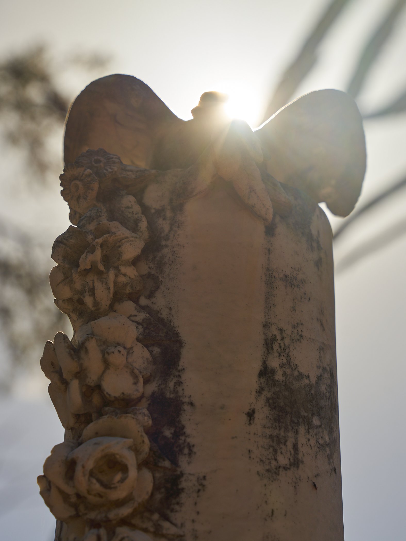 Exploring the past at Mungana Cemetery