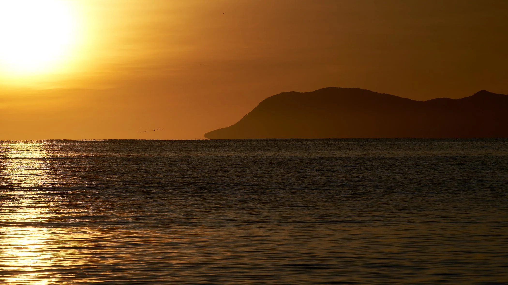 Sunrise New Years Day 2022, Palm Cove
