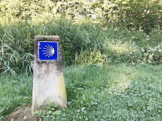 camino1.jpg