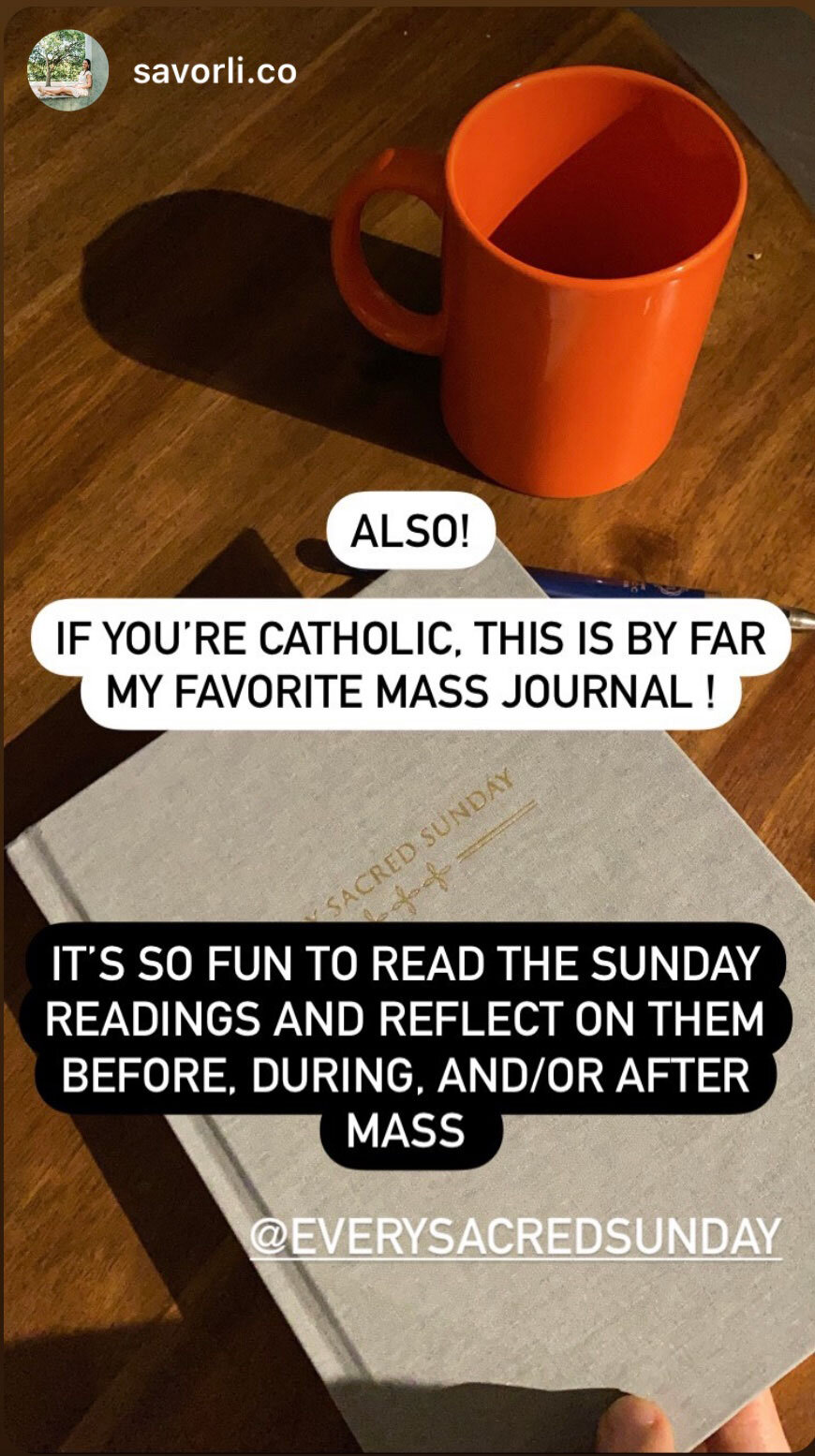 UGC-Every-Sacred-Sunday-Catholic-Mass-Journal-In-Action-7.jpg