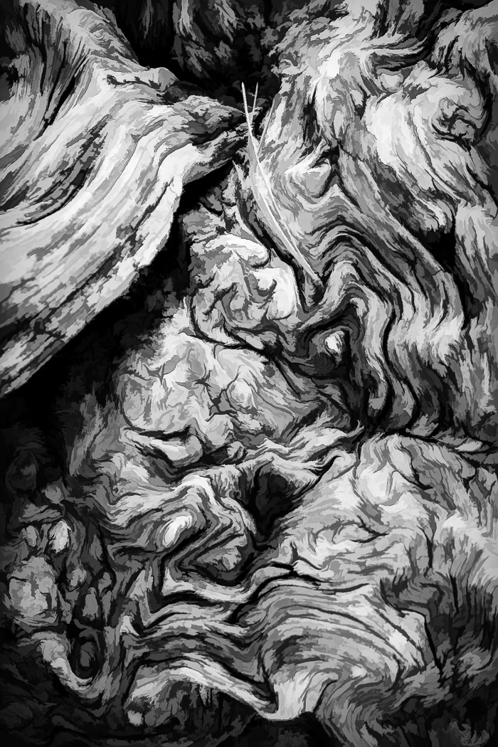 LPH_Pine Needle in a Gnarl.jpg