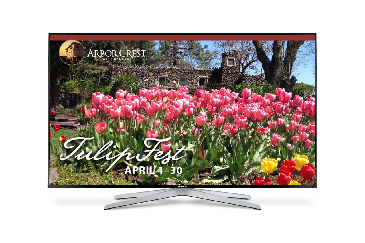 Annual Spring Celebration