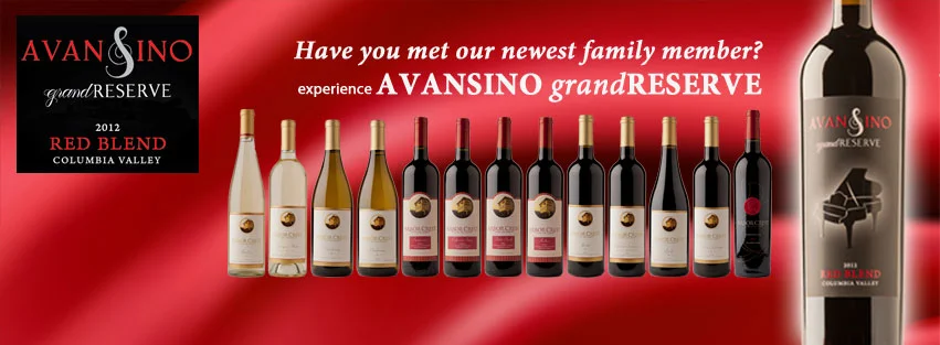 avansino-FB-cover.jpg