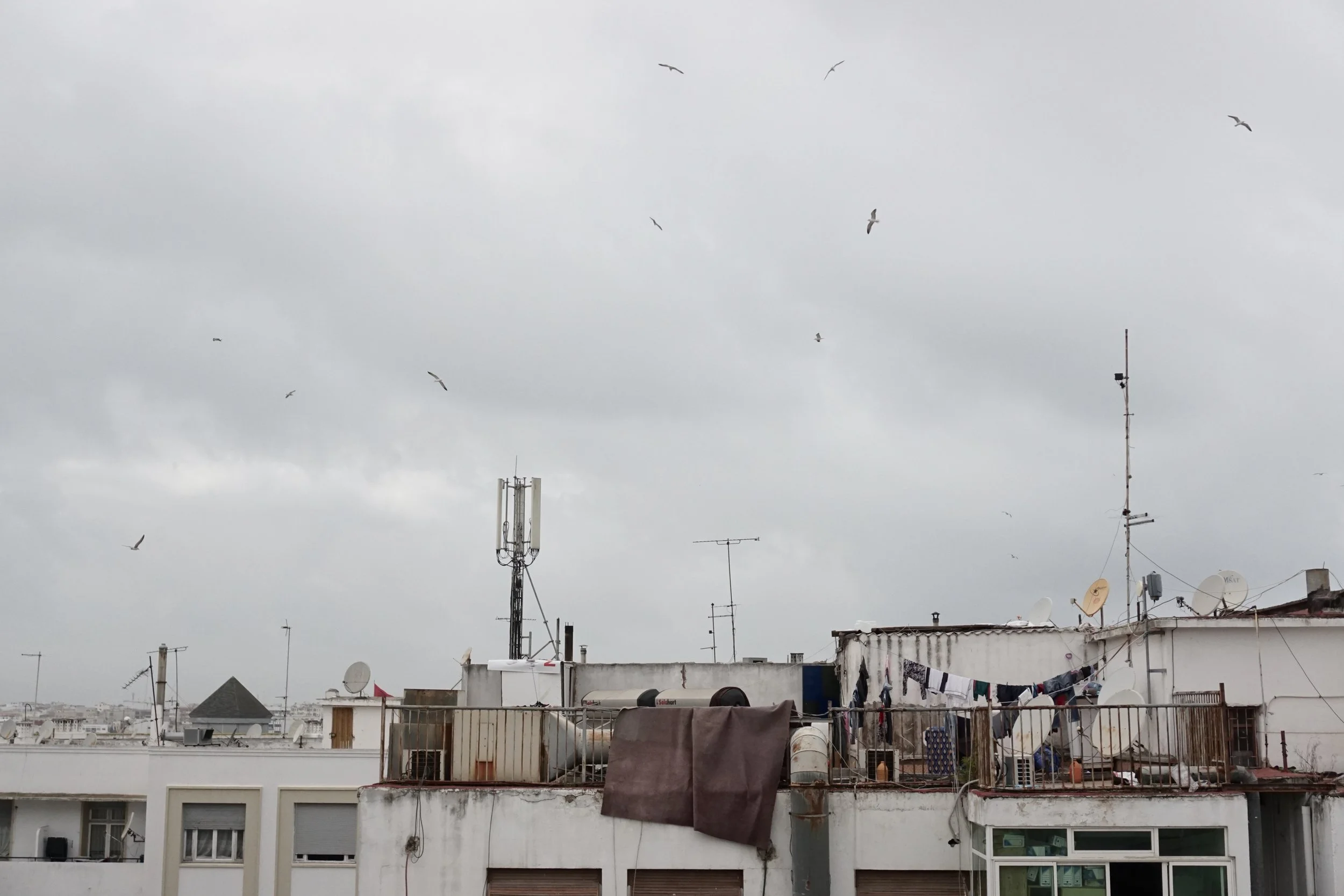 rabat
