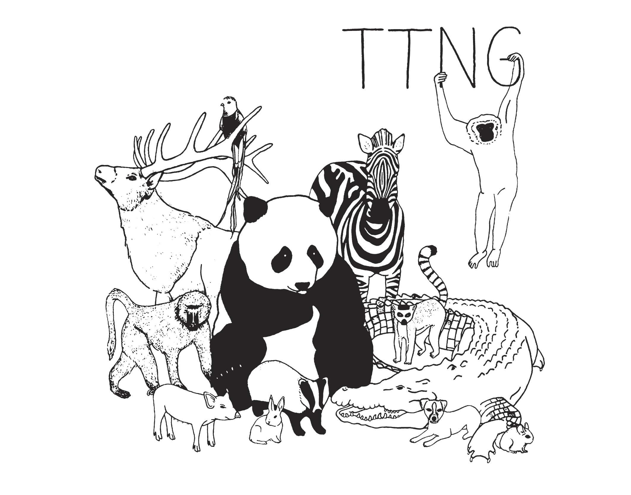 animals_low-res.png
