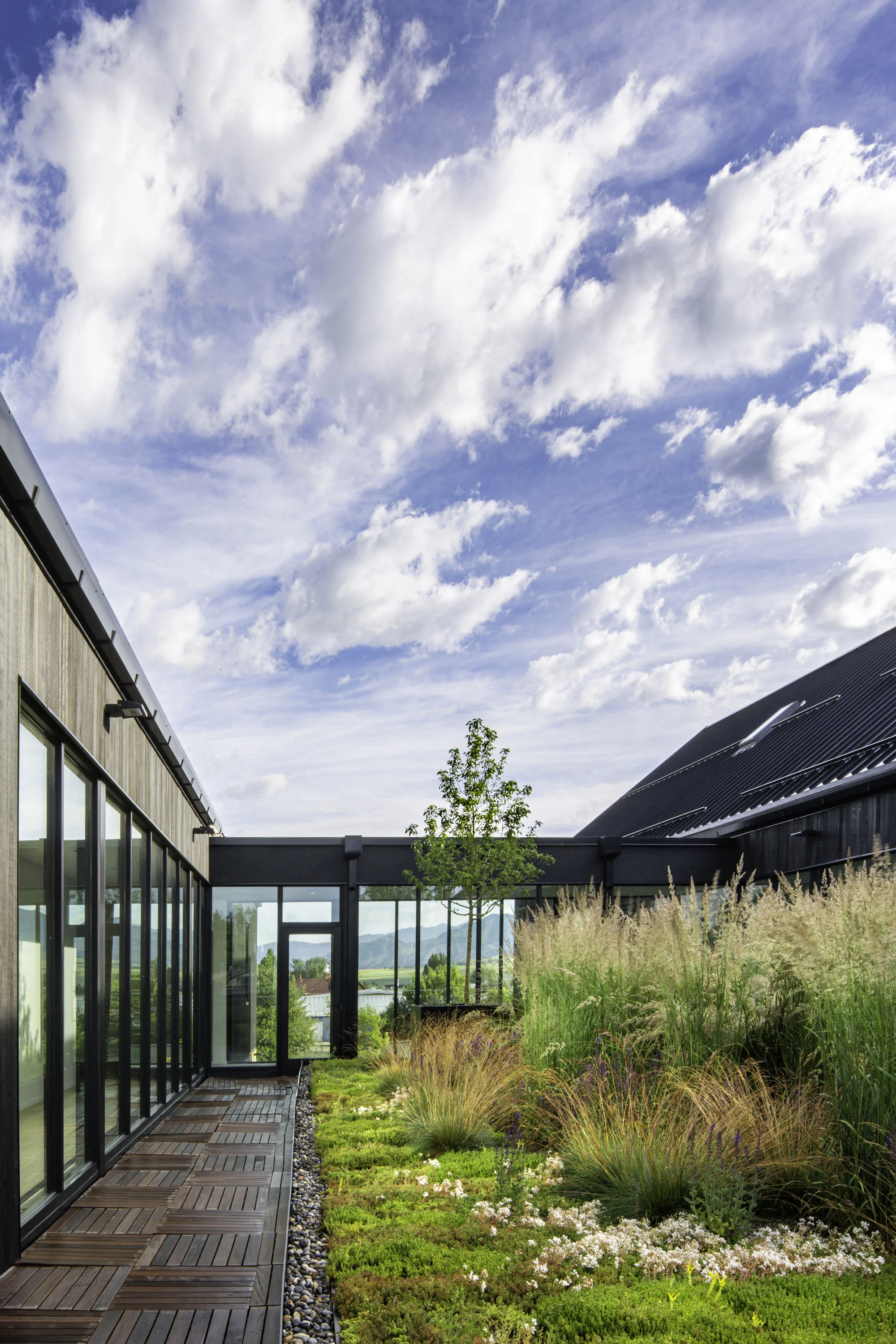 North_View_Courtyard.jpg