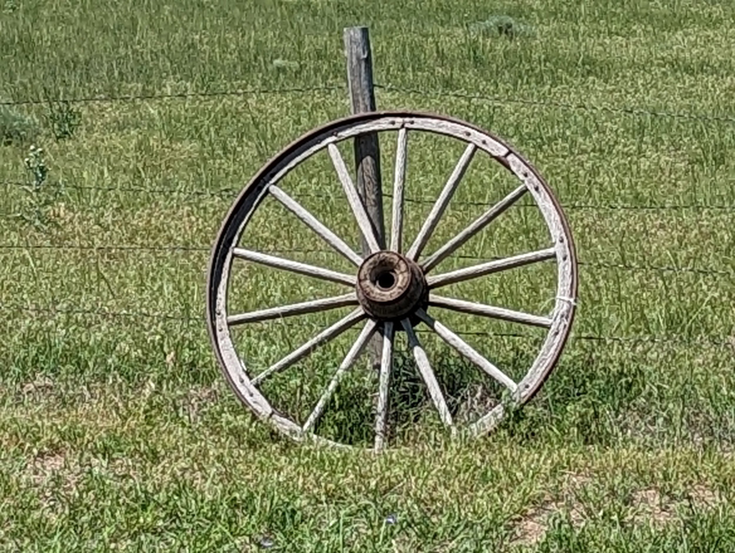 WagonWheel.jpg