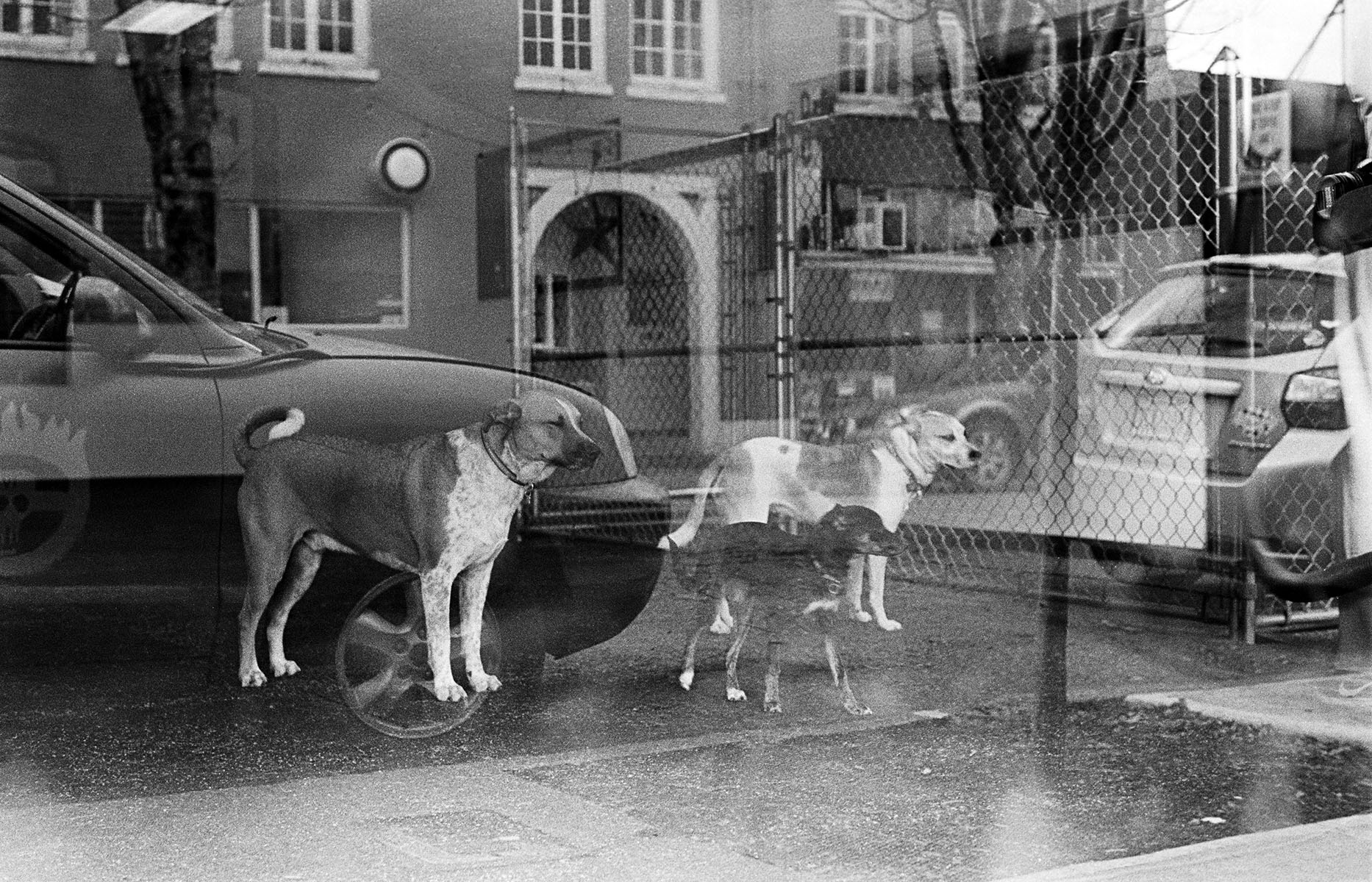 35mm black & white film Portland, OR 2017