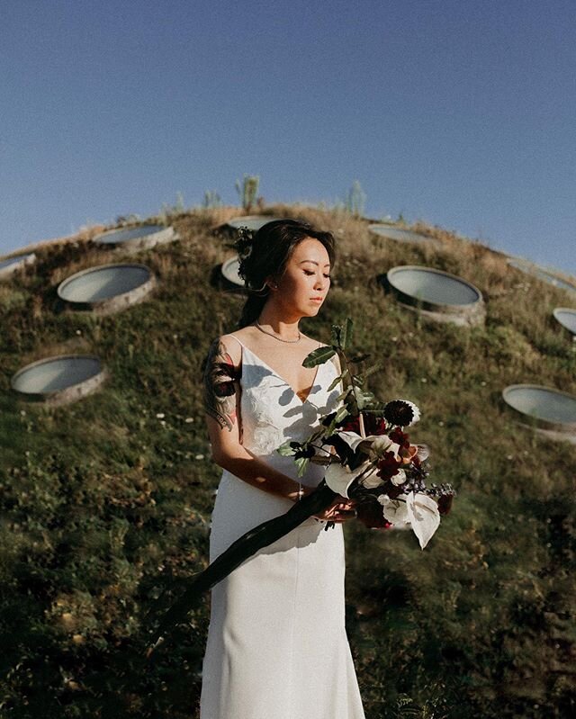 &bull; A Quiet Goddess &bull;
.
.
.
.
.
#elopementphotographer #huffpostido #allthemrealfeels #togetherjournal #utterlyengaged #lovestory #sacramento #santacruzsession #californiawedding #loveandwildhearts #unscripted #greenweddingshoes #belovedstori