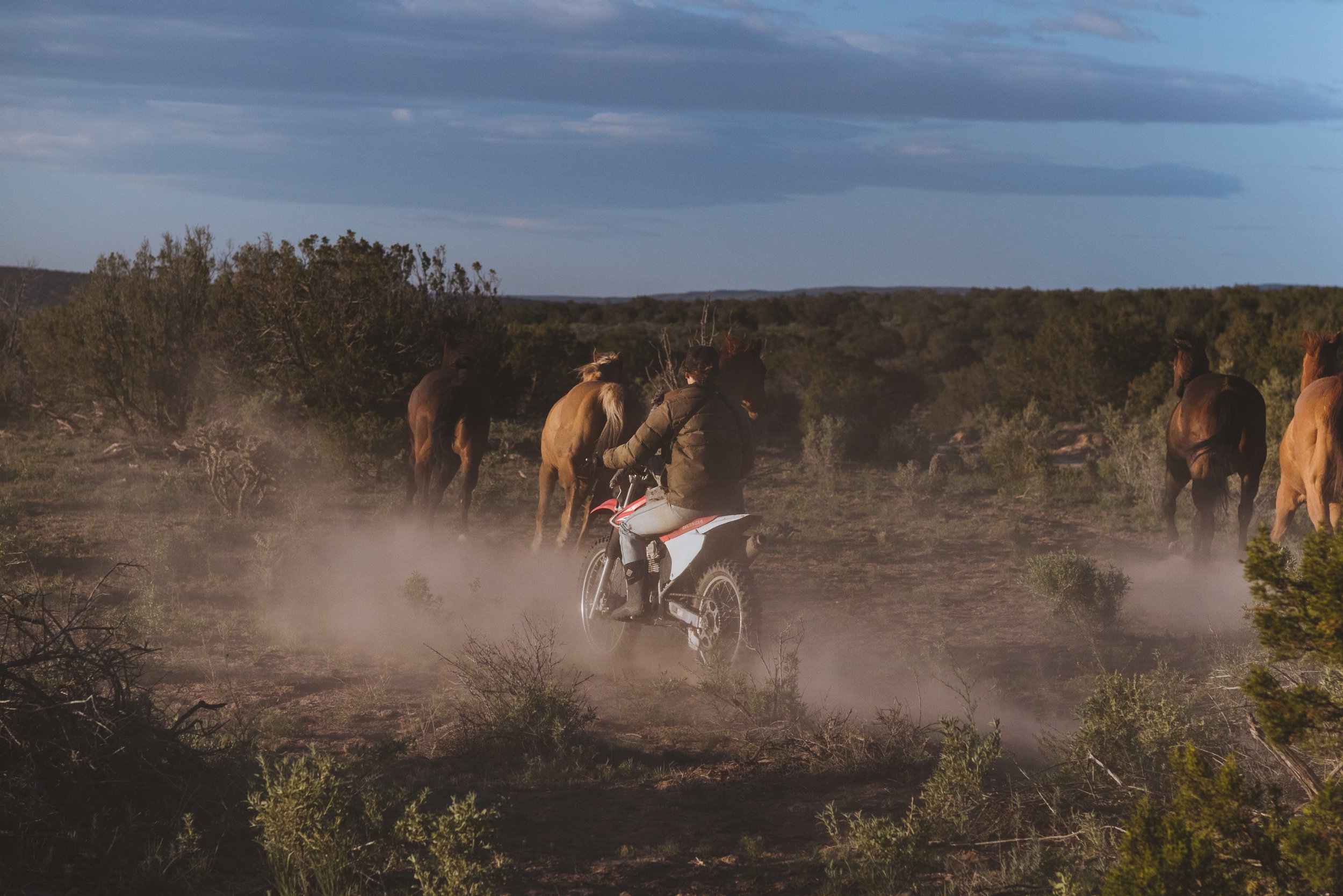 mp_ranch-019.jpg