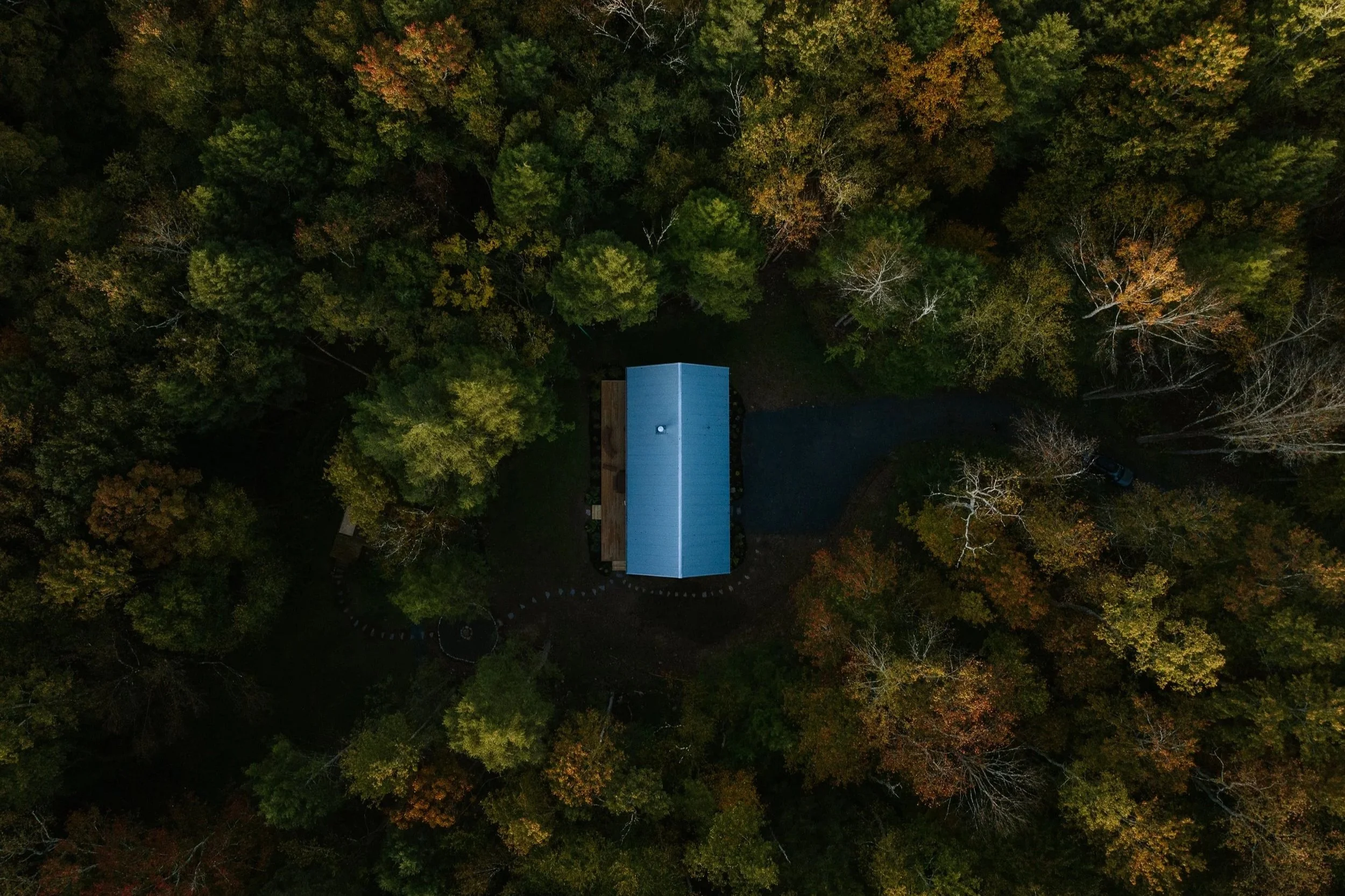 An aerial view of a house with a blue roof surrounded by trees with autumn foliage and a curved driveway.