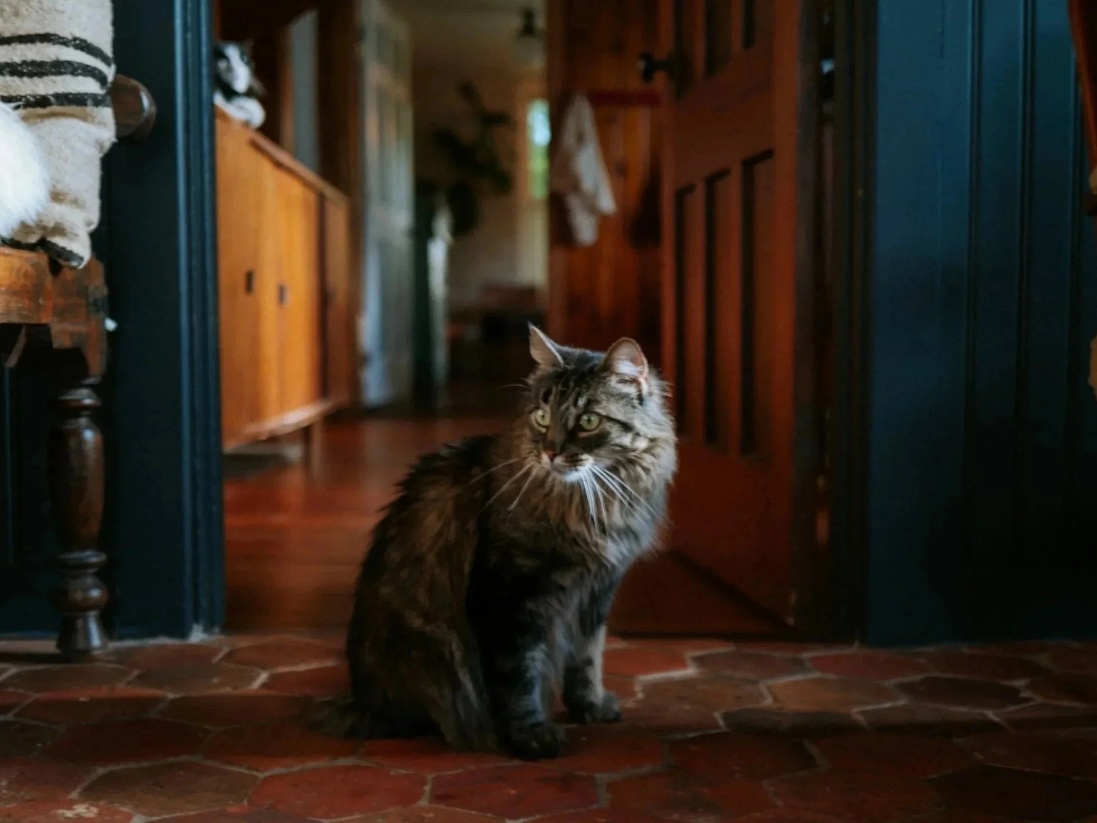 echo_orchard_int-7.jpg