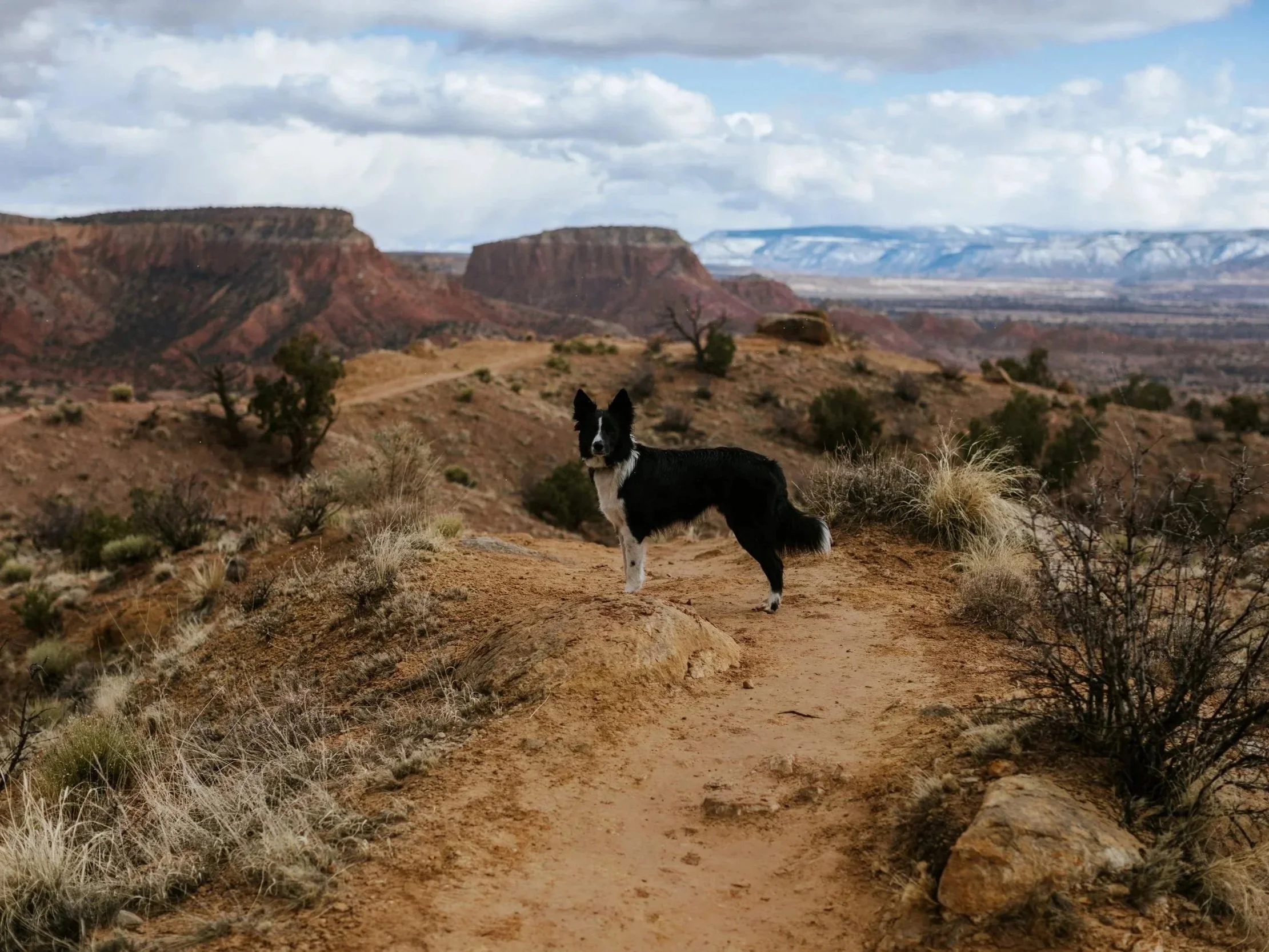 abiquiu-59.jpg