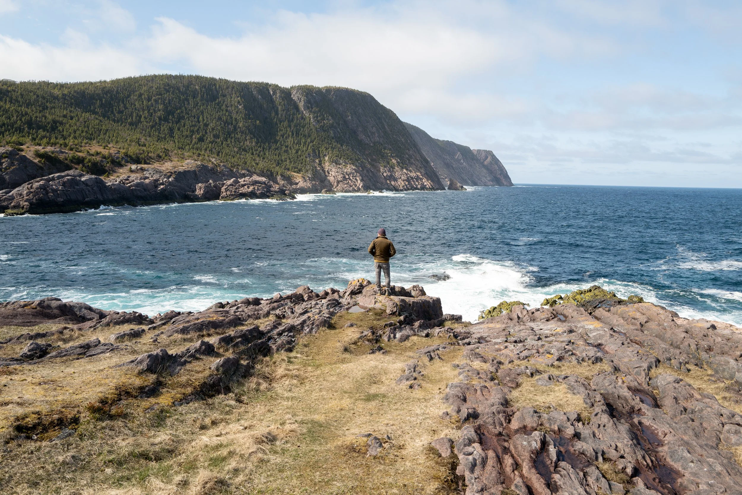 newfoundland-10.jpg