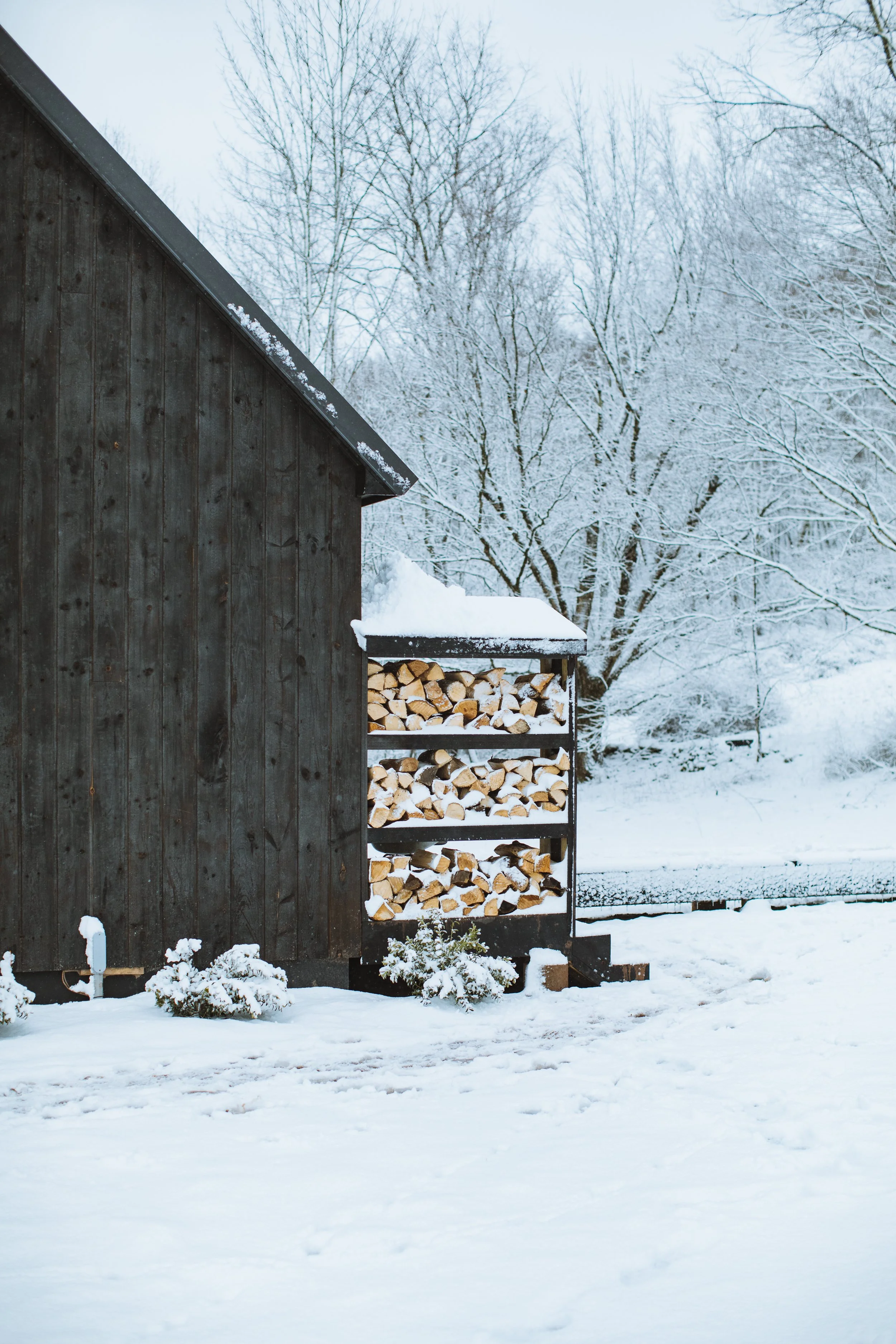 Blackberry House: A Homestedt Project