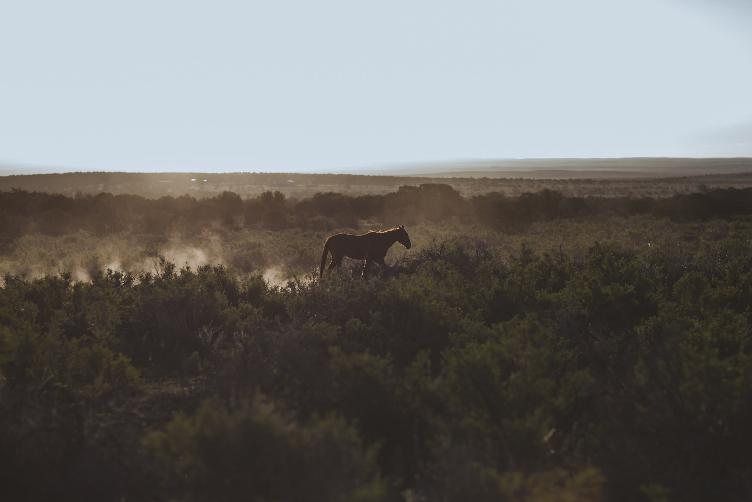 mp_ranch-024.jpg