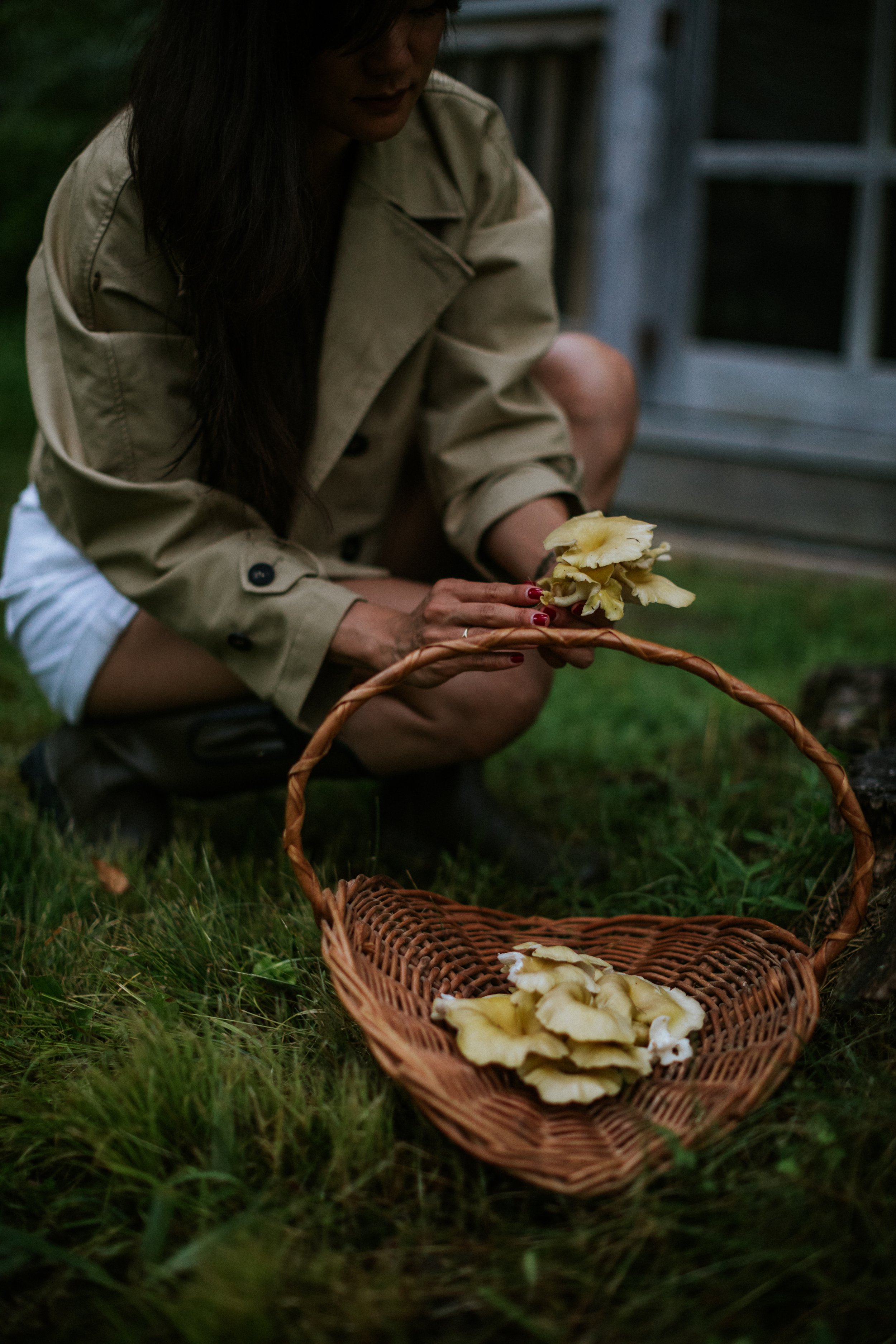 mushroom_foraging-15.jpg