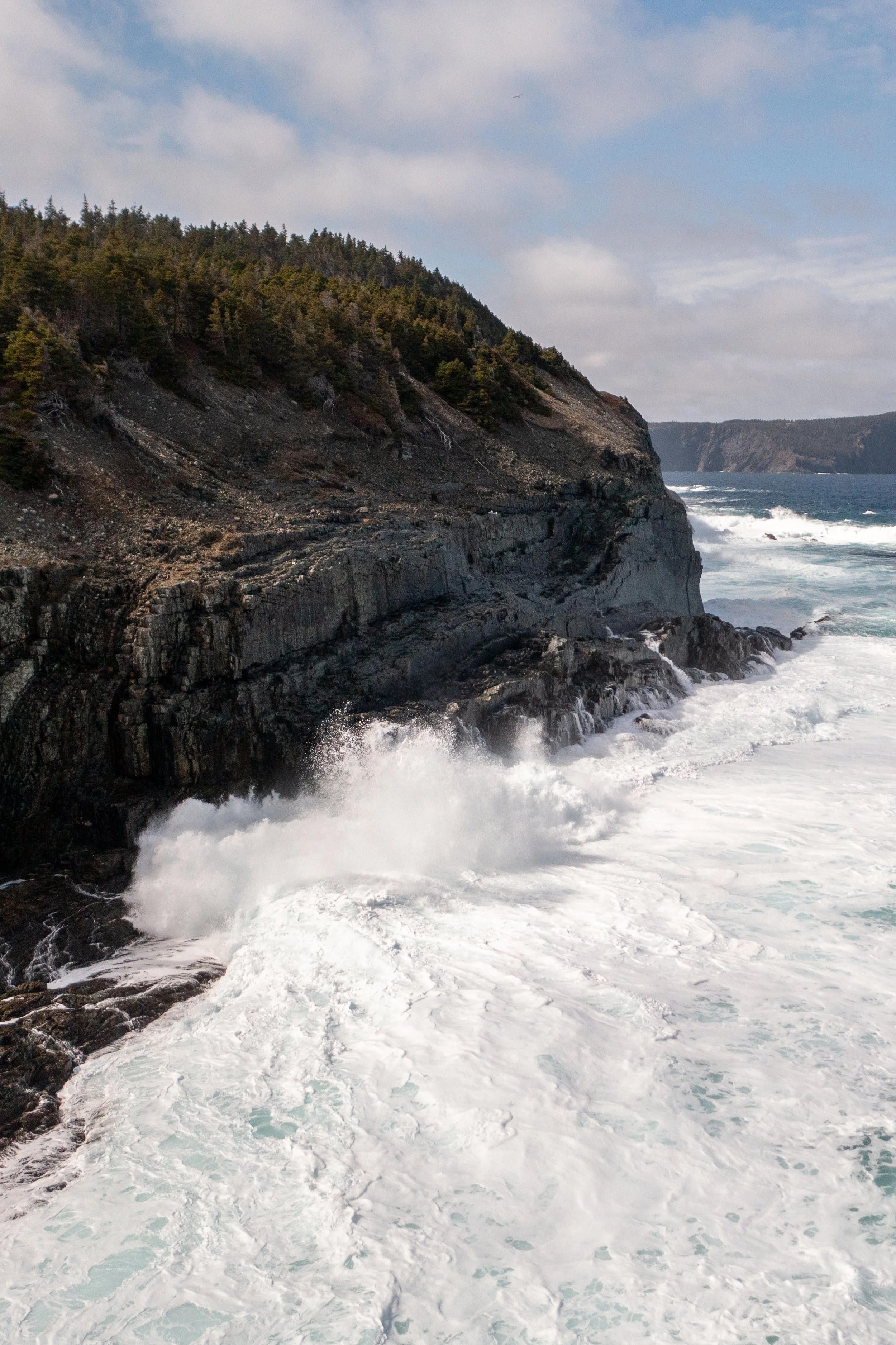 newfoundland_2022-5.jpg