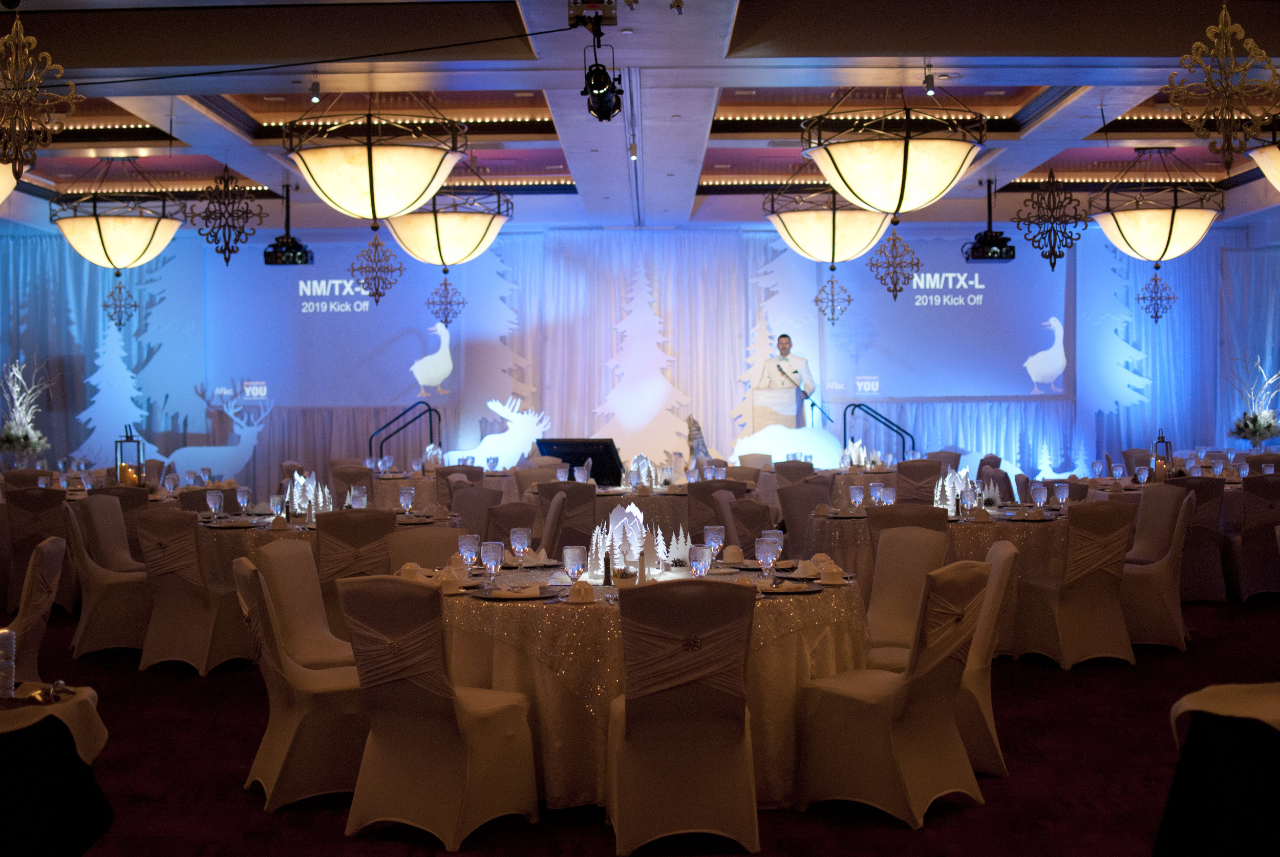 AFLAC_DECOR6.jpg
