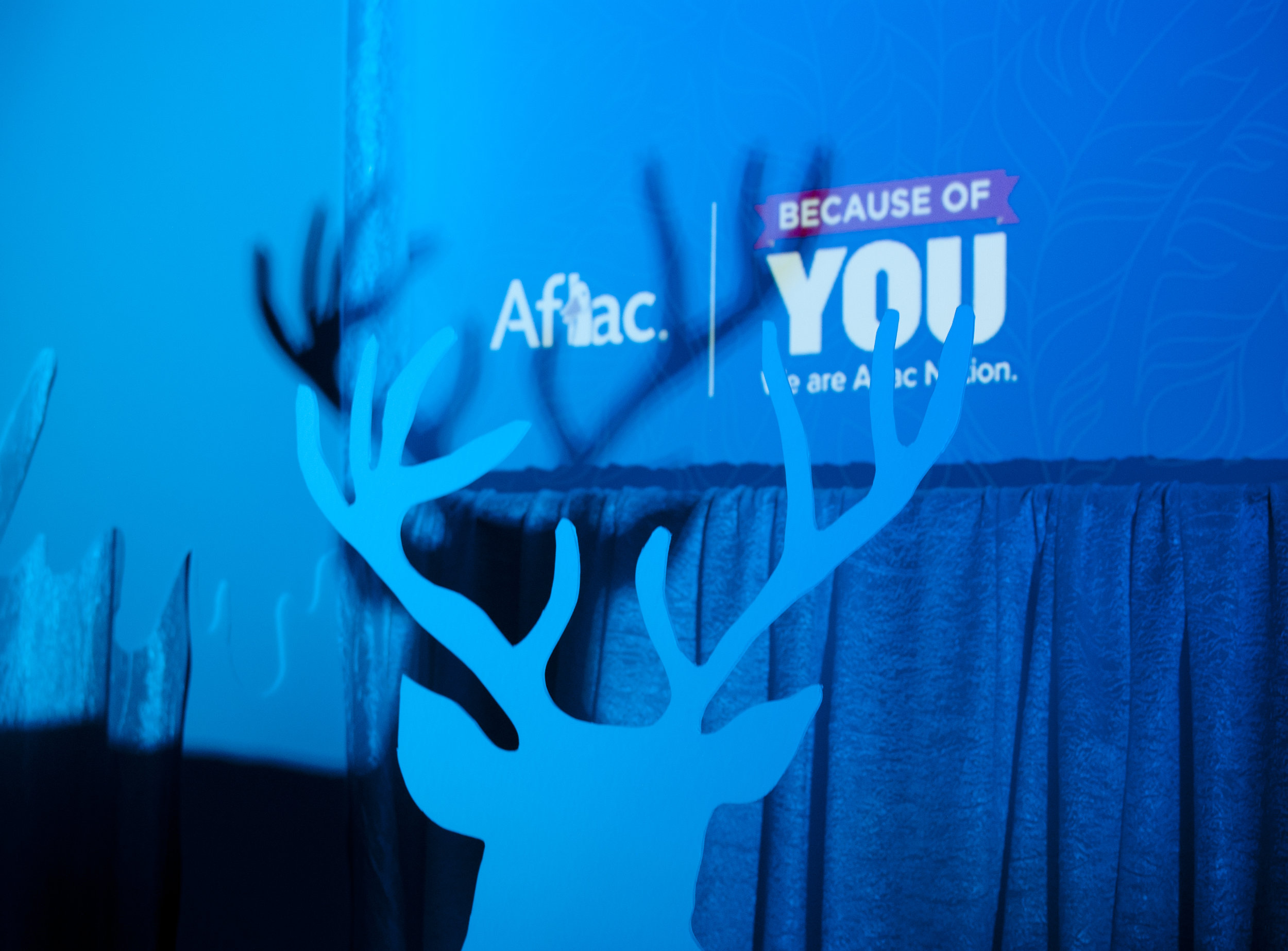AFLAC_DECOR12.jpg