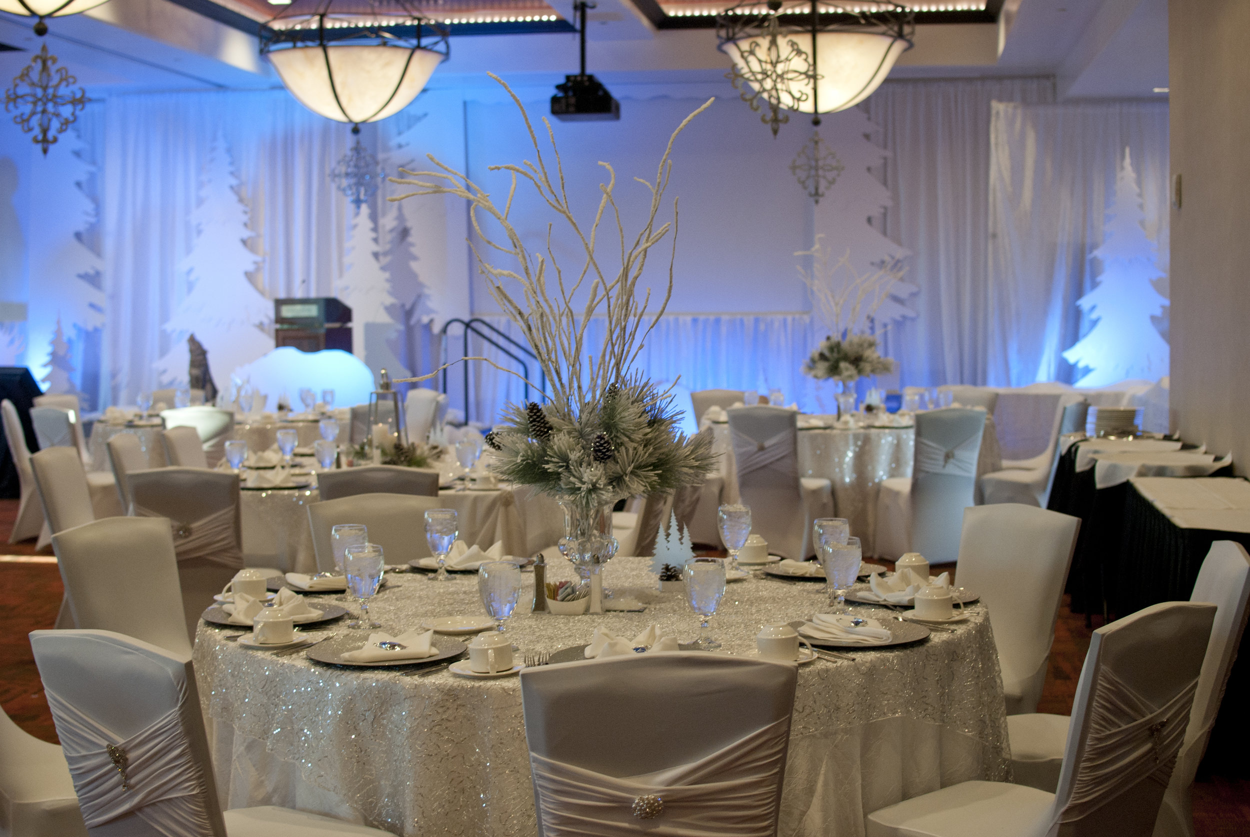 AFLAC_DECOR20.jpg