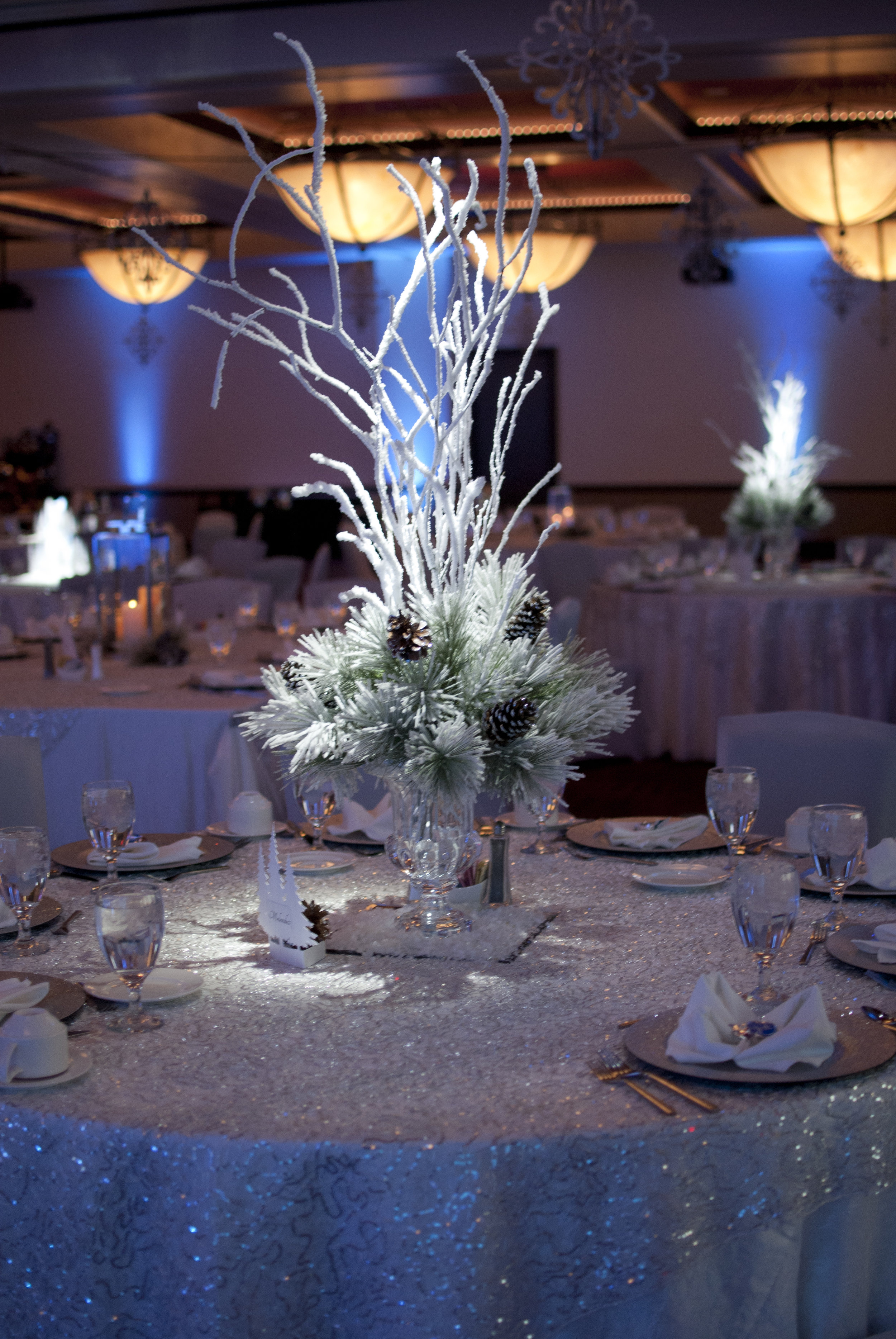 AFLAC_DECOR40.jpg