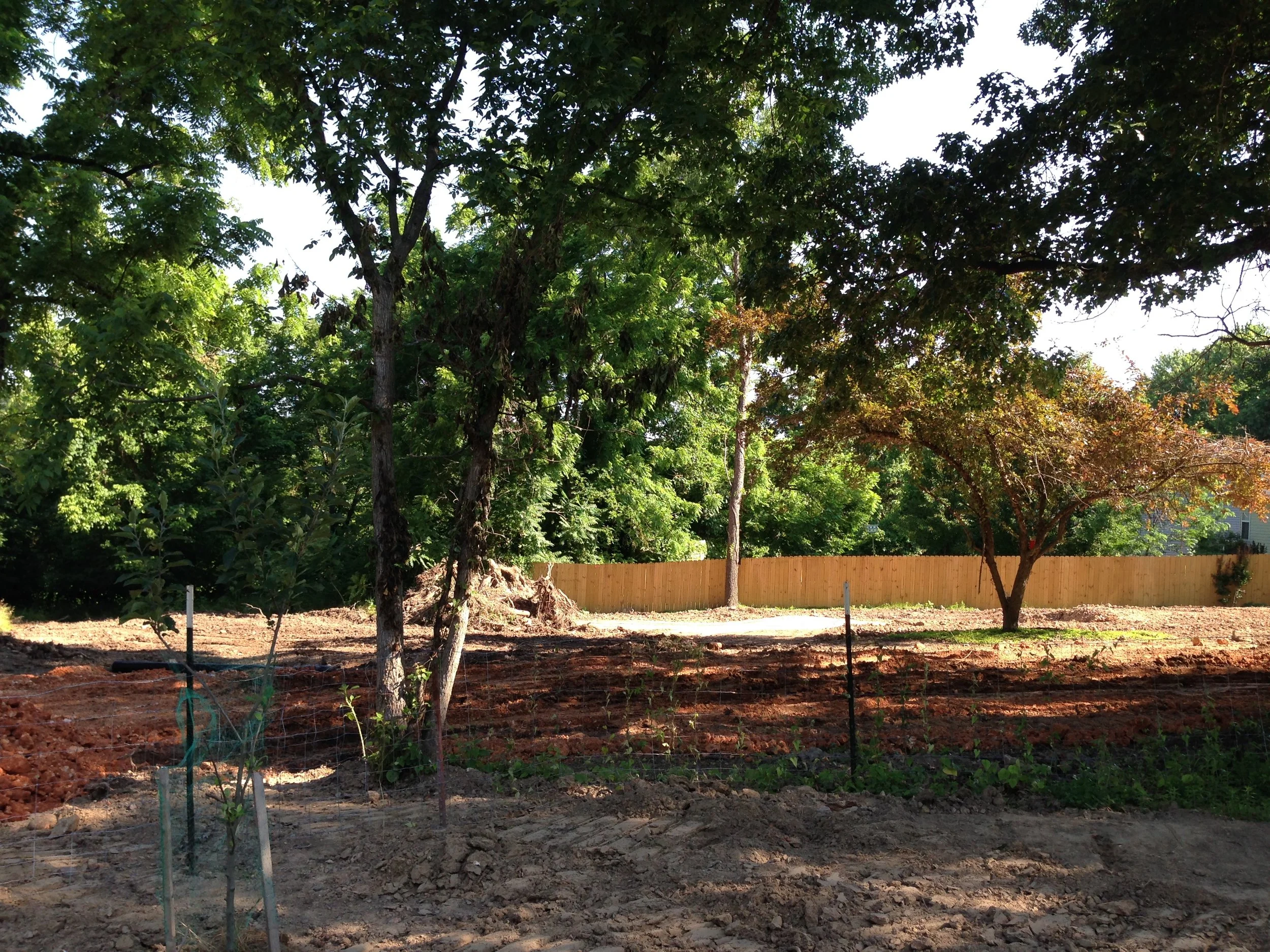 2016-06-10 09.30.58.jpg
