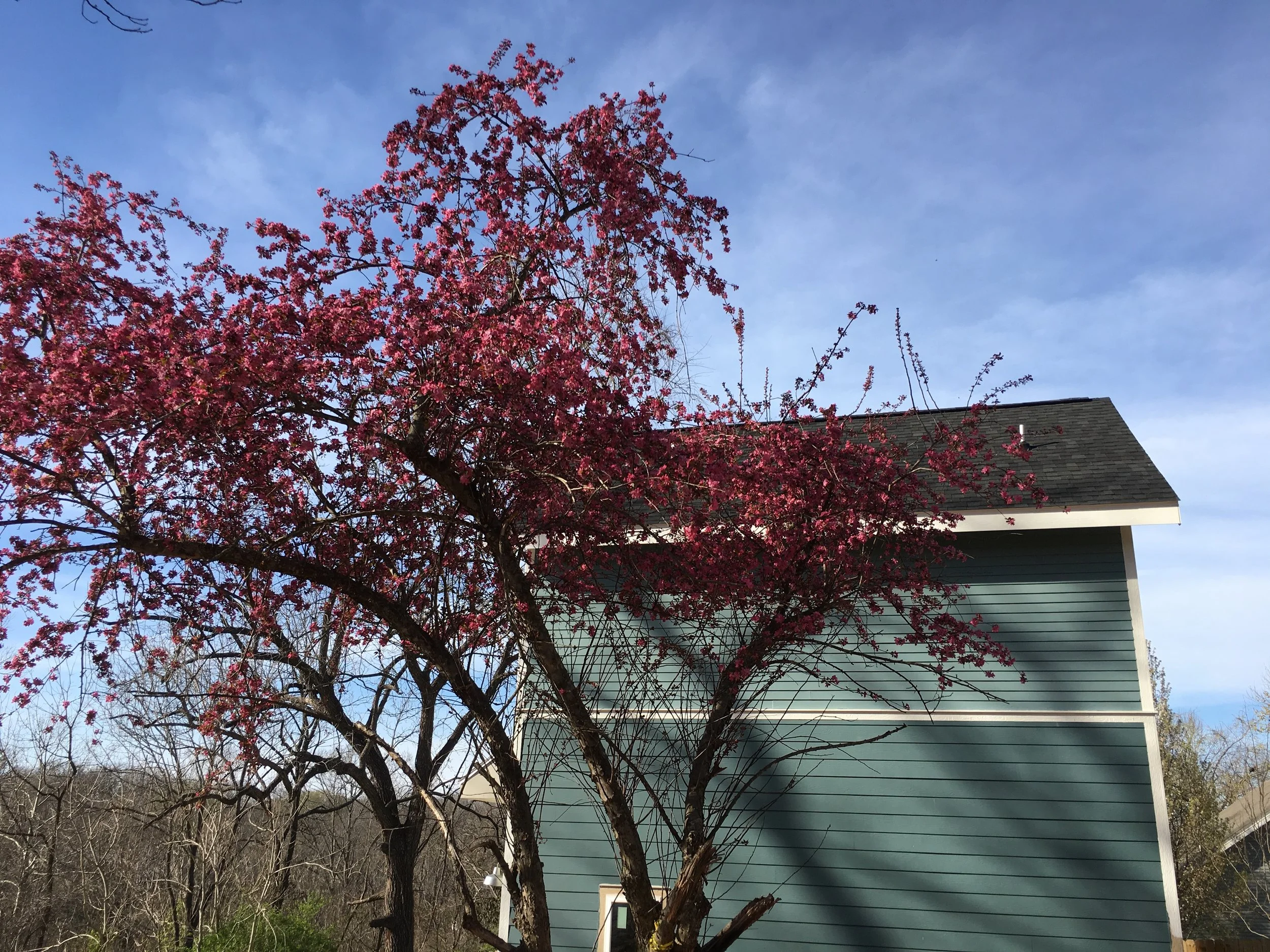 2017-03-18 17.20.17.jpg