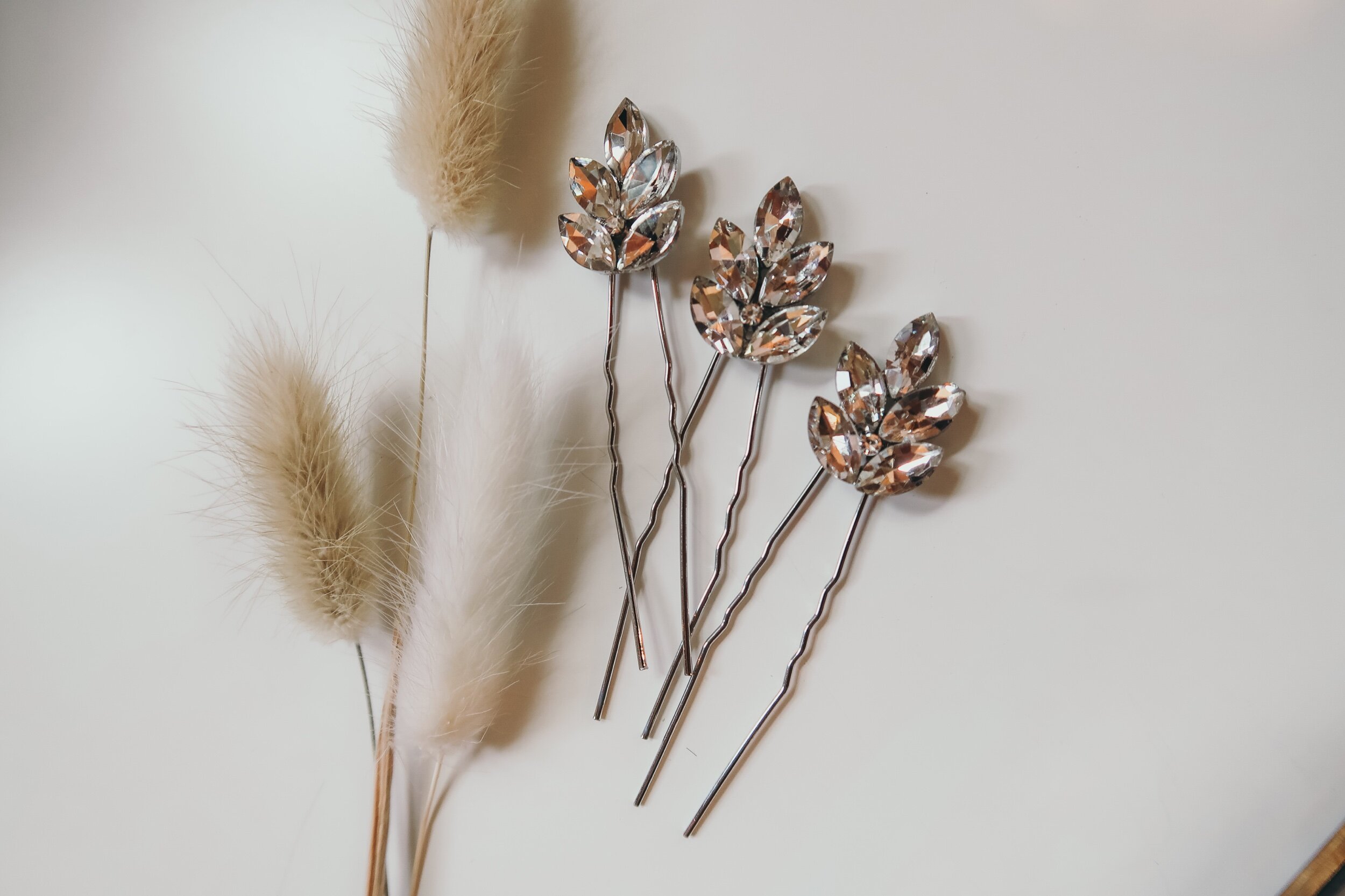 33C0D70D-24B5-42F4-94A2-FCC2EB67BF7C