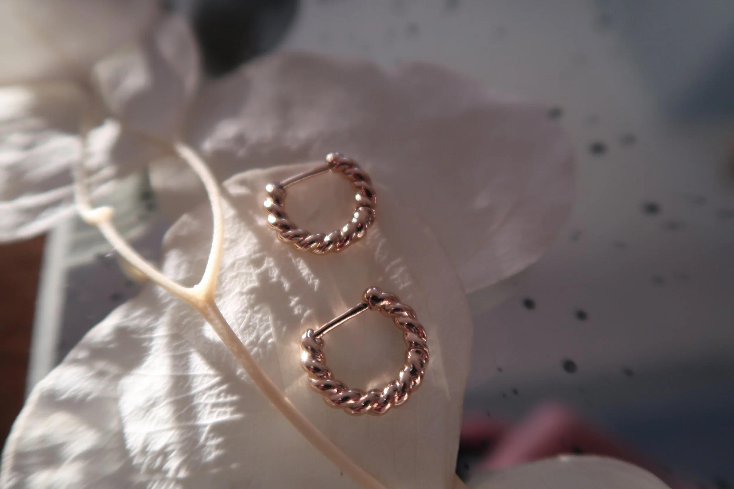 30182C68-E07F-449F-B257-89E506ABDBD0