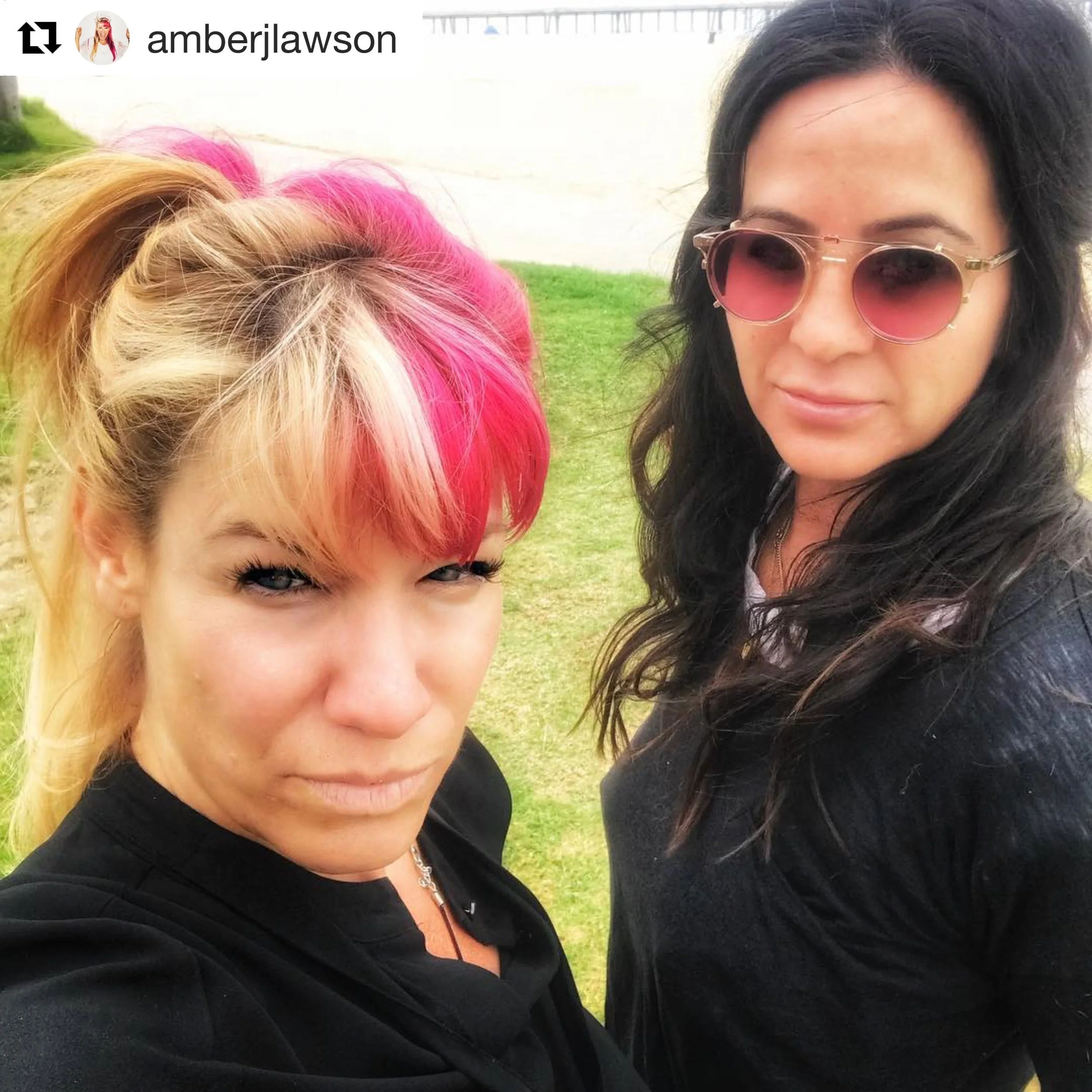 2018 Venice Resistance Fundraiser 