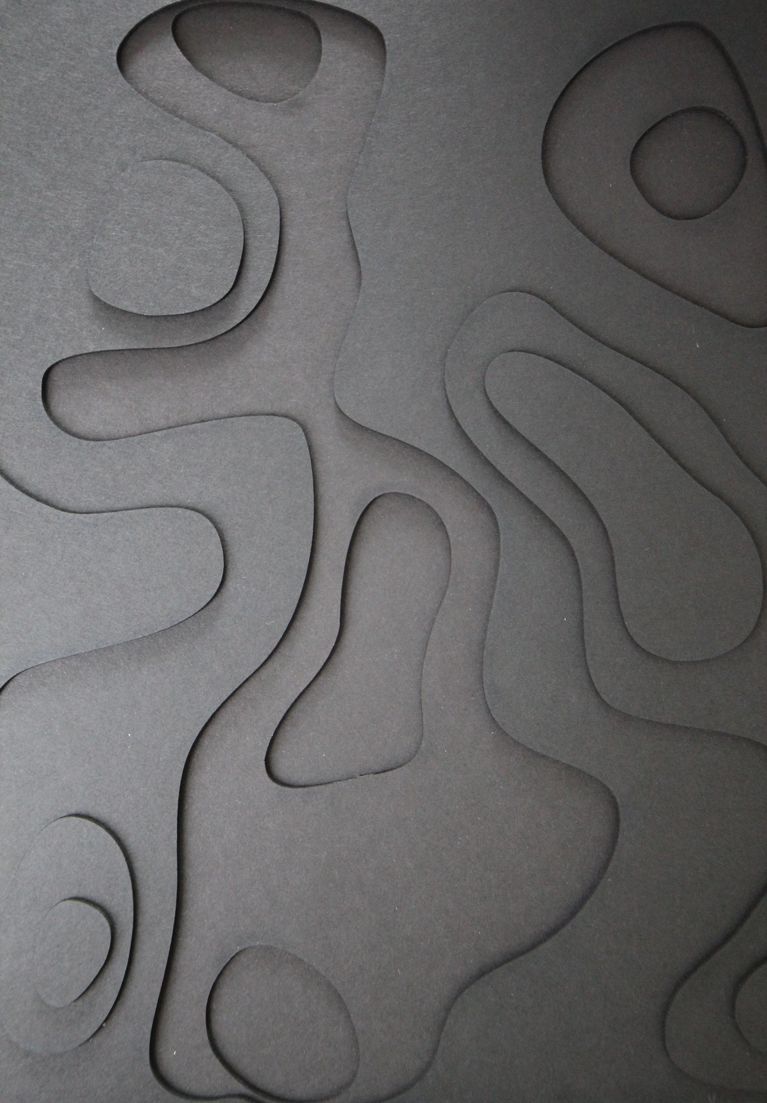 topo black.jpg