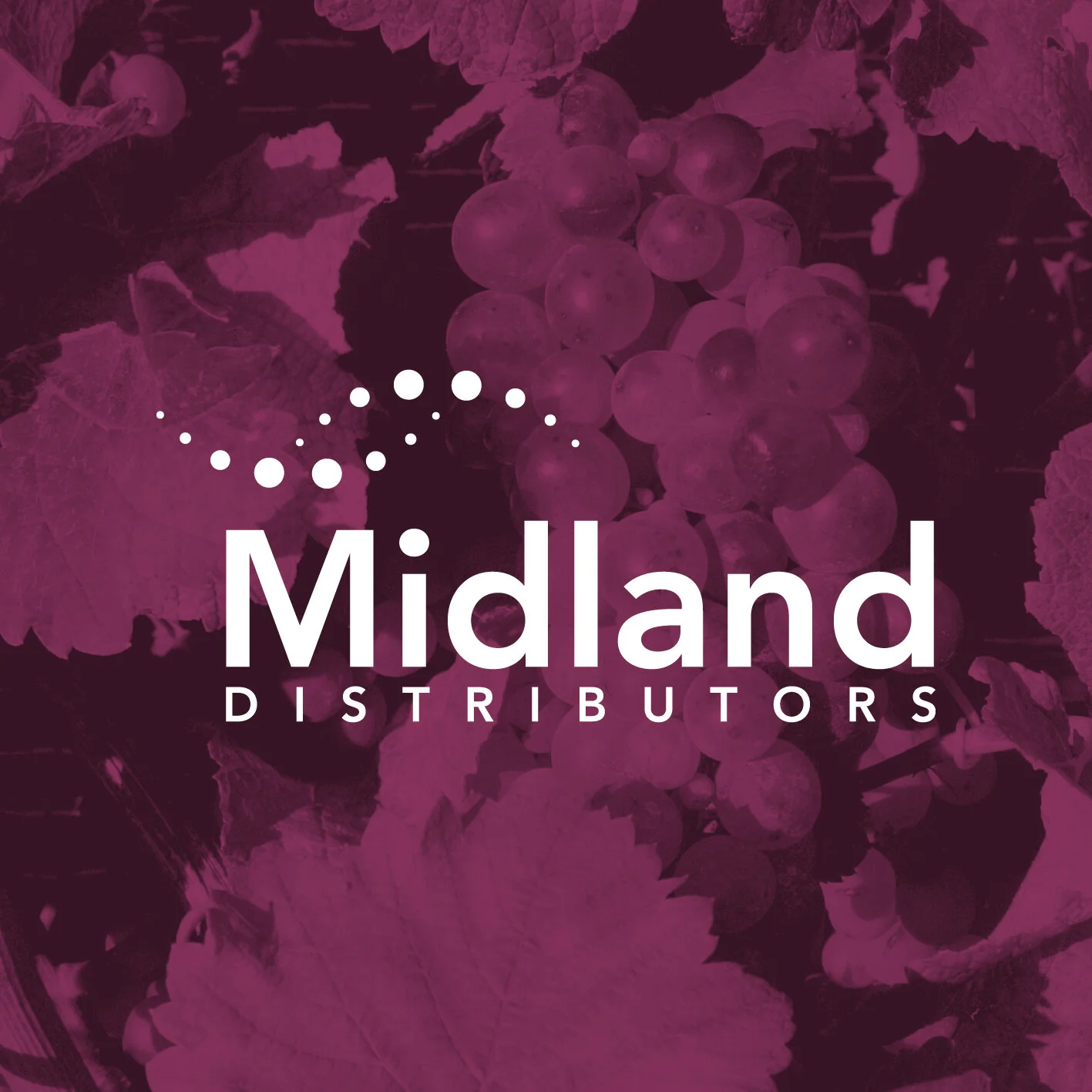 Midland_Logo_Square_Reverse2.jpg
