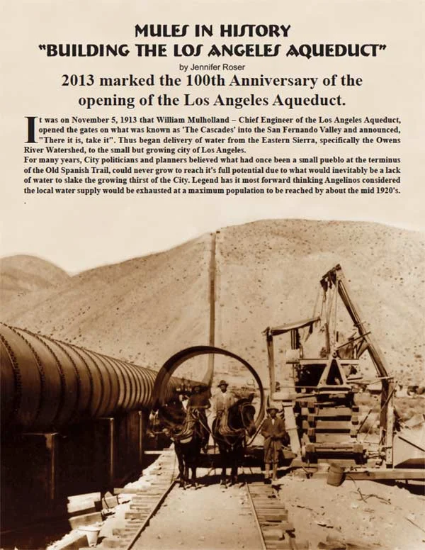 MulesinHistory-600w.jpg