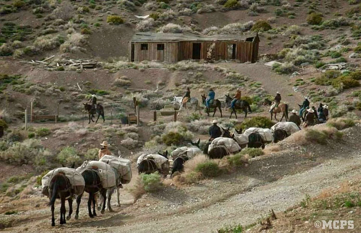Our mules hard at work servicing a client