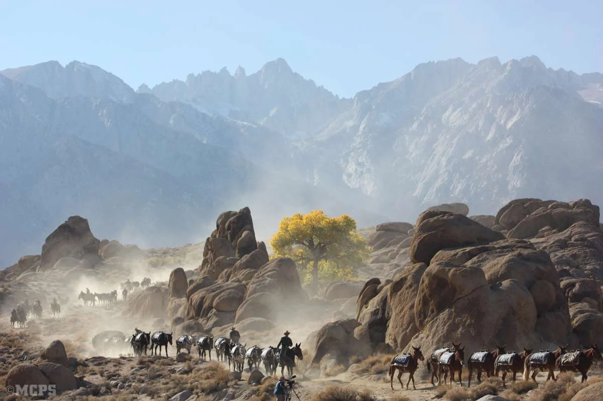 100-Mules-PC-Lou-Roeser1200.jpg
