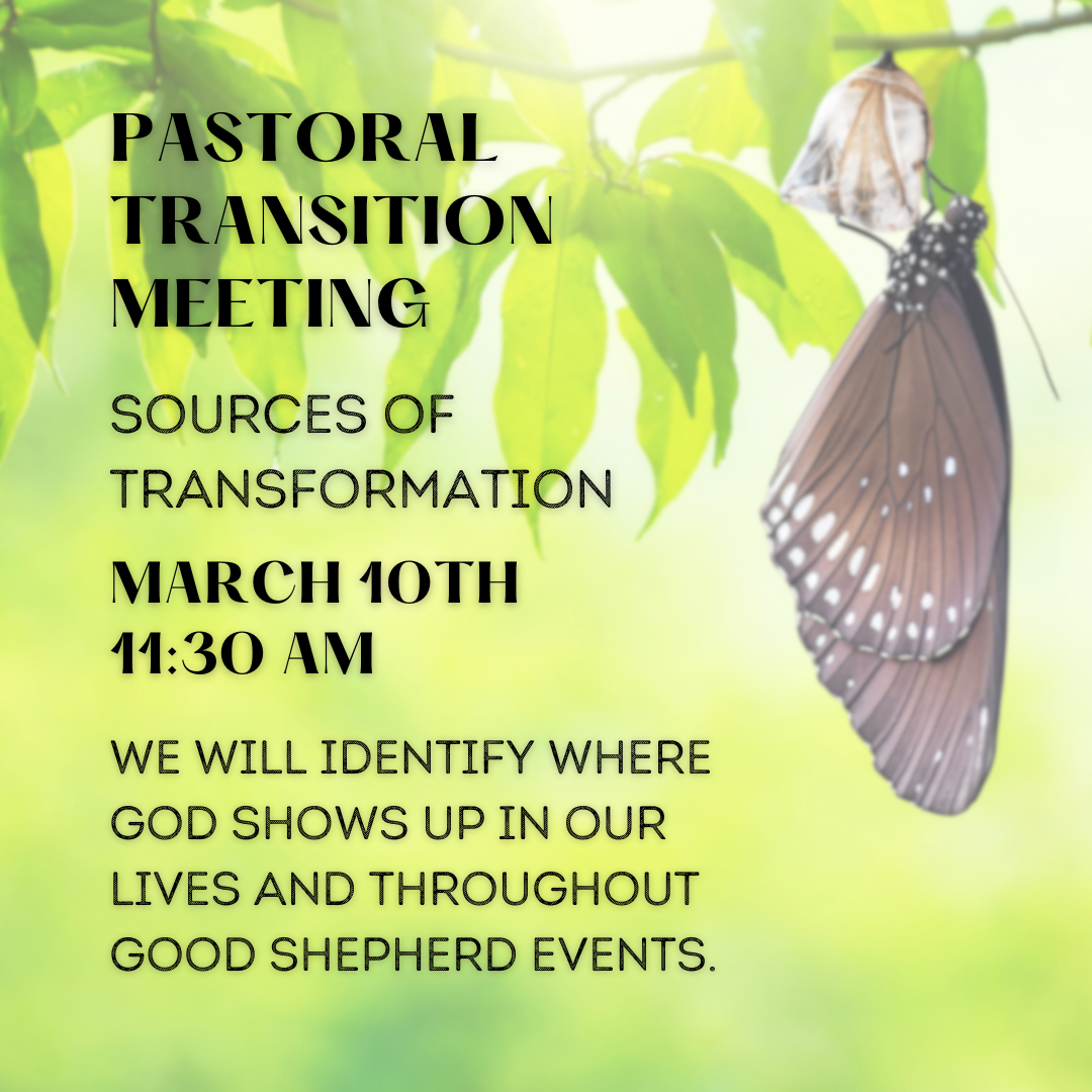 Pastoral Transition Meeting - Transformation (IG).png