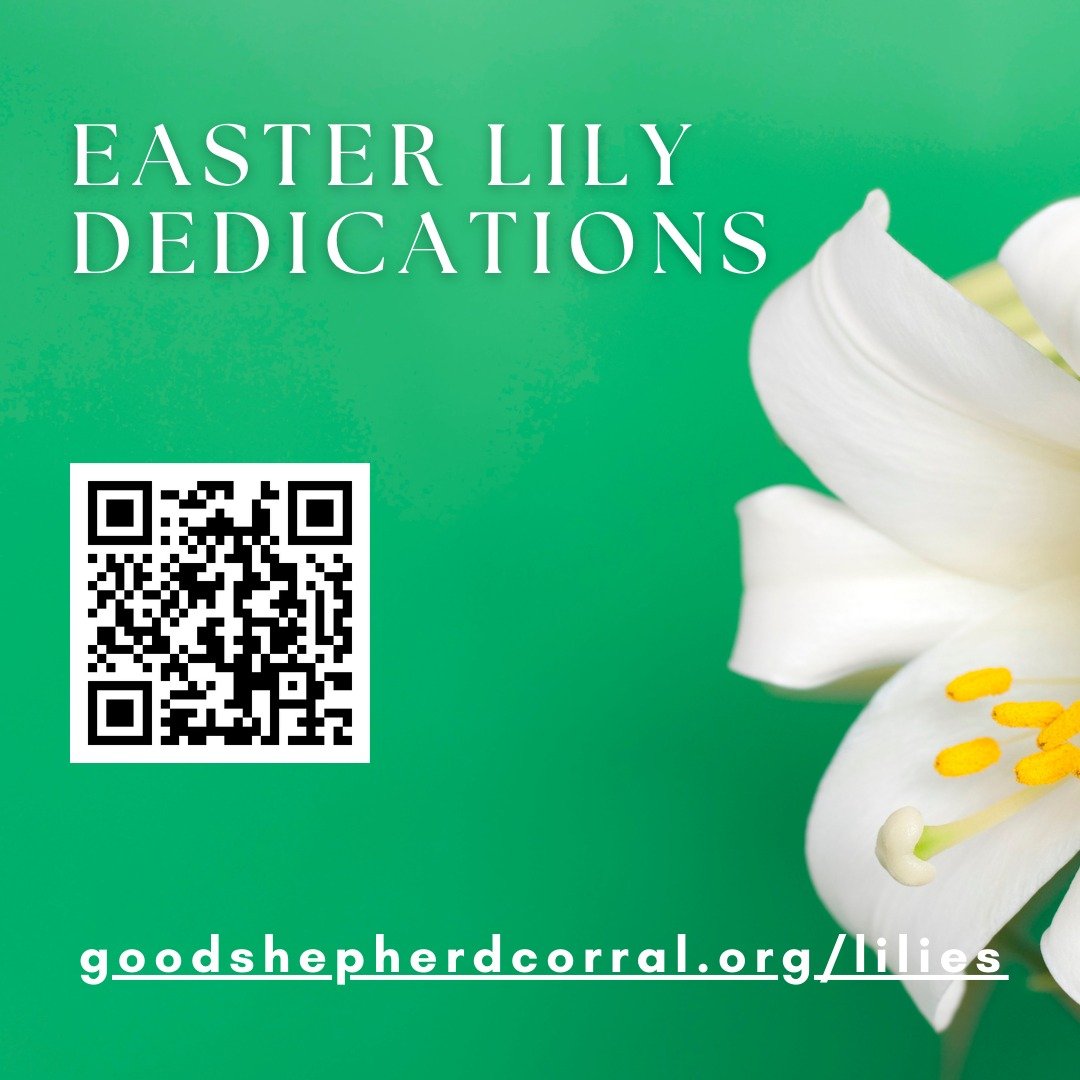 Our Easter Lily dedications are a great opportunity to honor a loved one or give thanks.