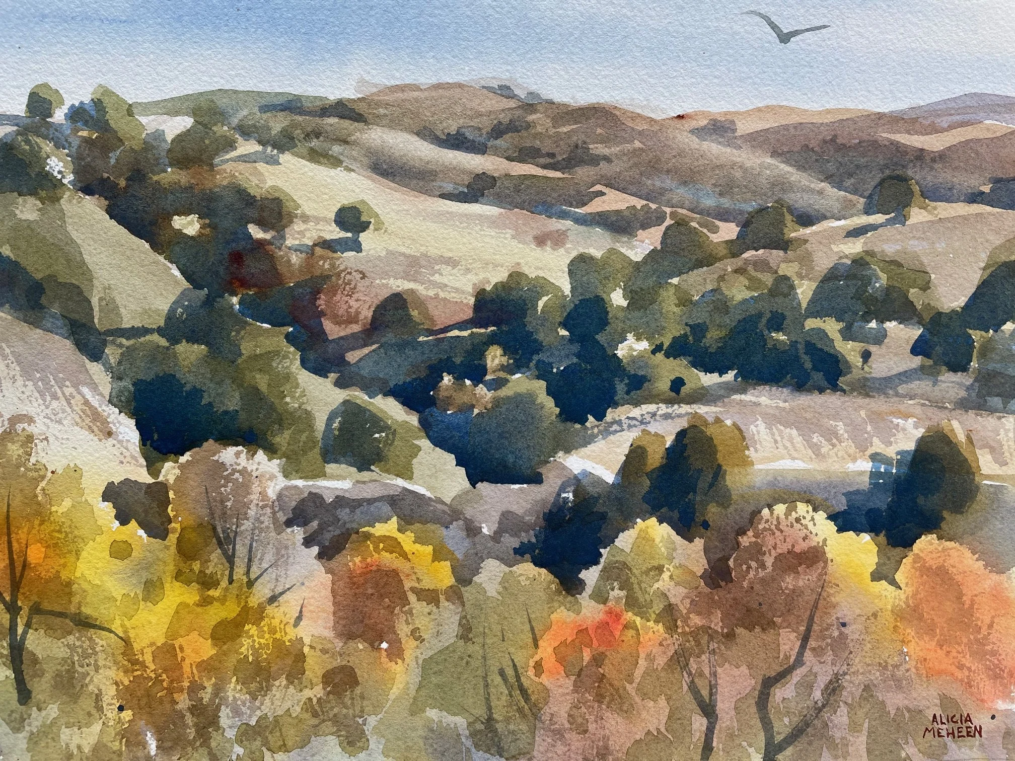 Meheen, Calif Hills, Fall.jpeg