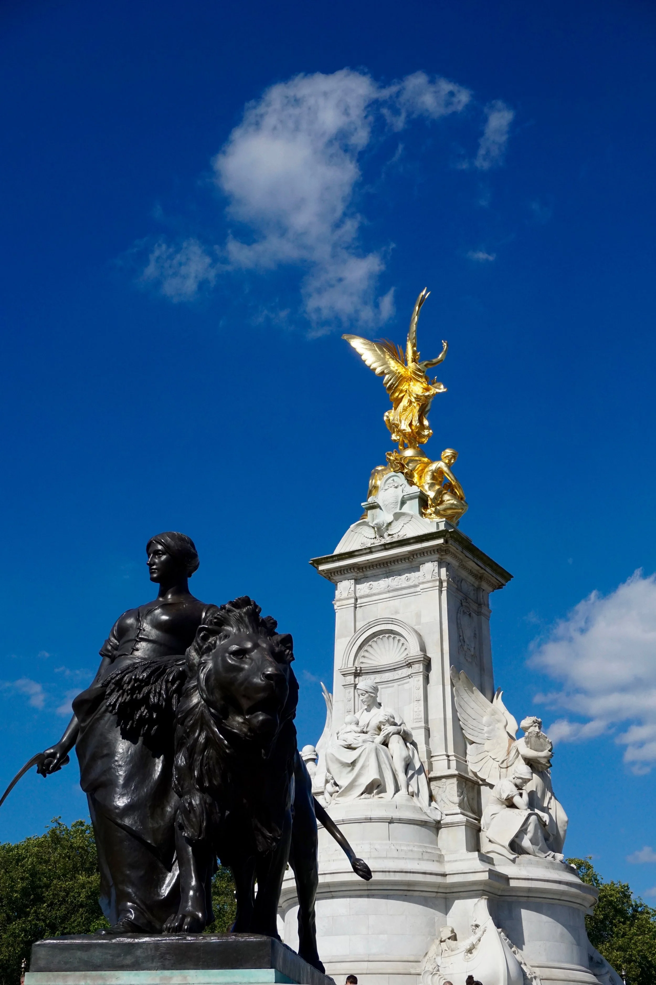 DSC02531-1.jpg