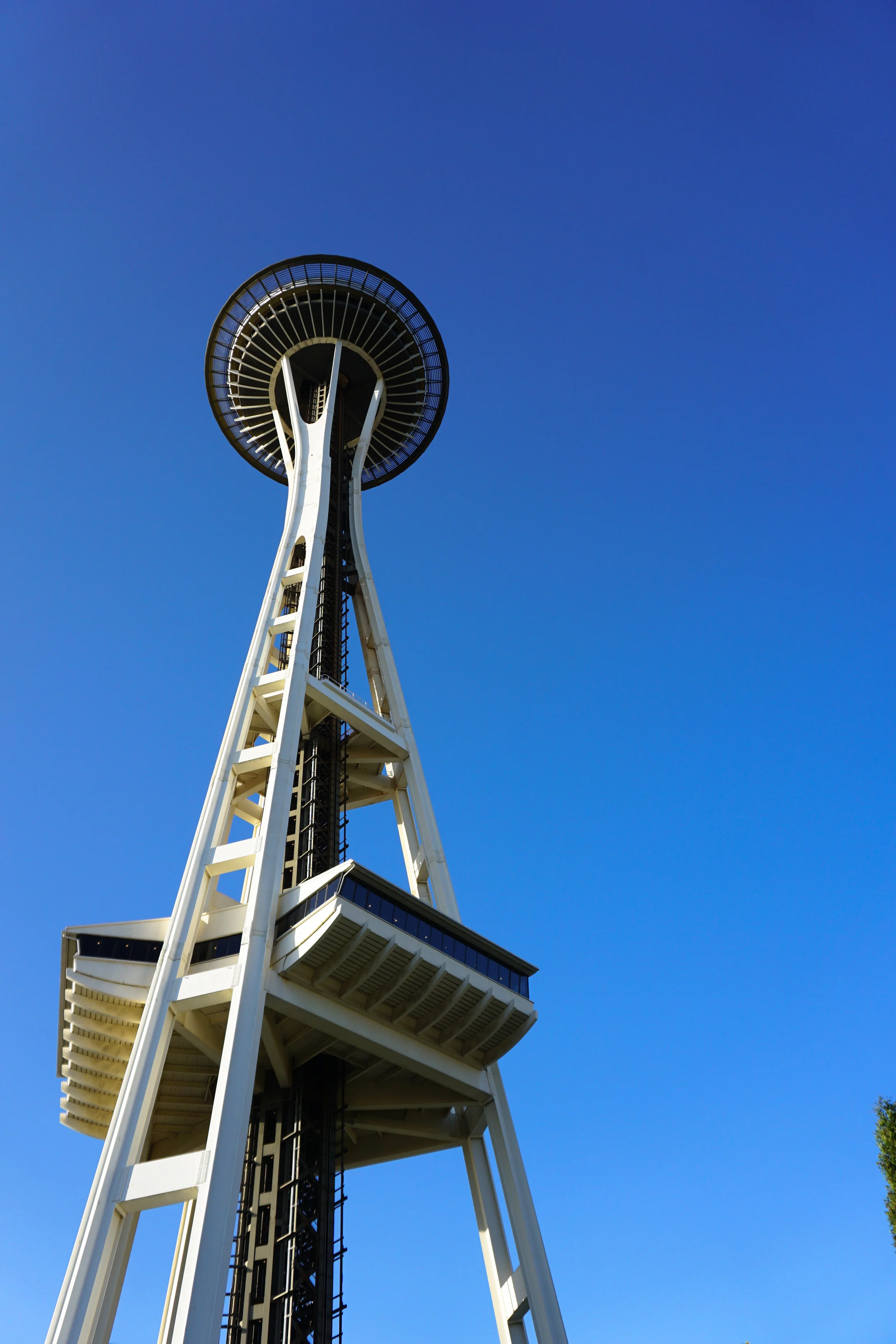 DSC03841-2.jpg