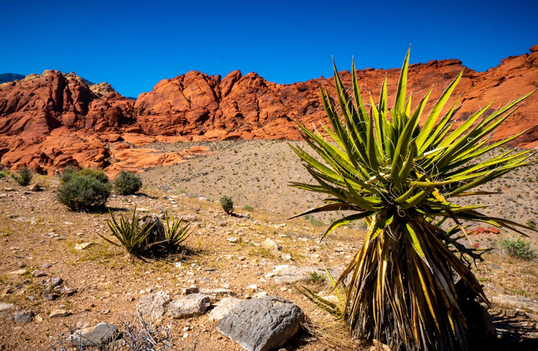 Southwest Road Trip Itinerary – Phoenix, Sedona, Antelope Canyon, Zion, Valley of Fire &amp; Las Vegas