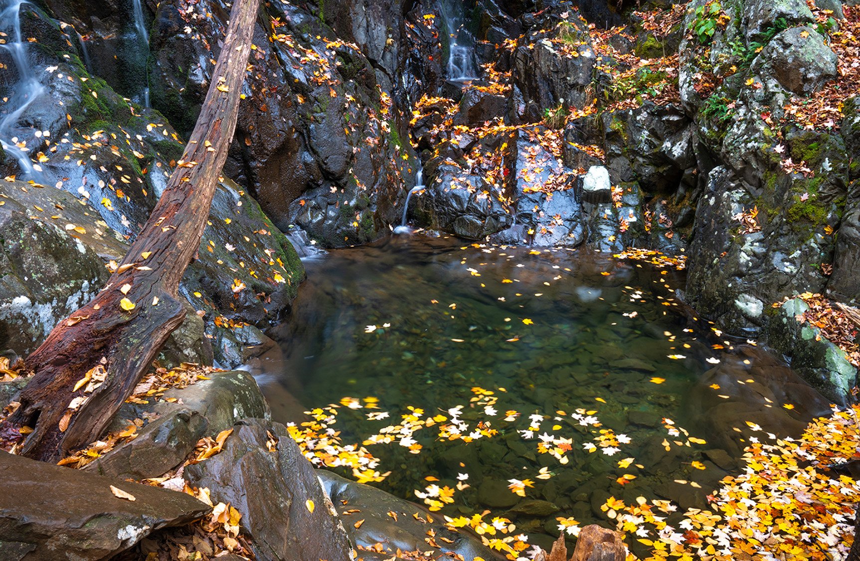 Rose River Trail Loop in Shenandoah National Park – Waterfalls, Cascades &amp; Photography